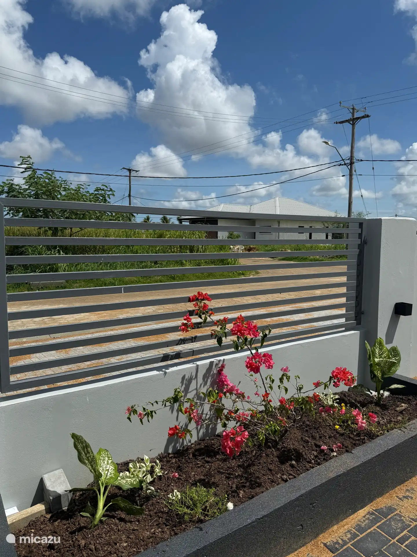 Vue extérieure en journée