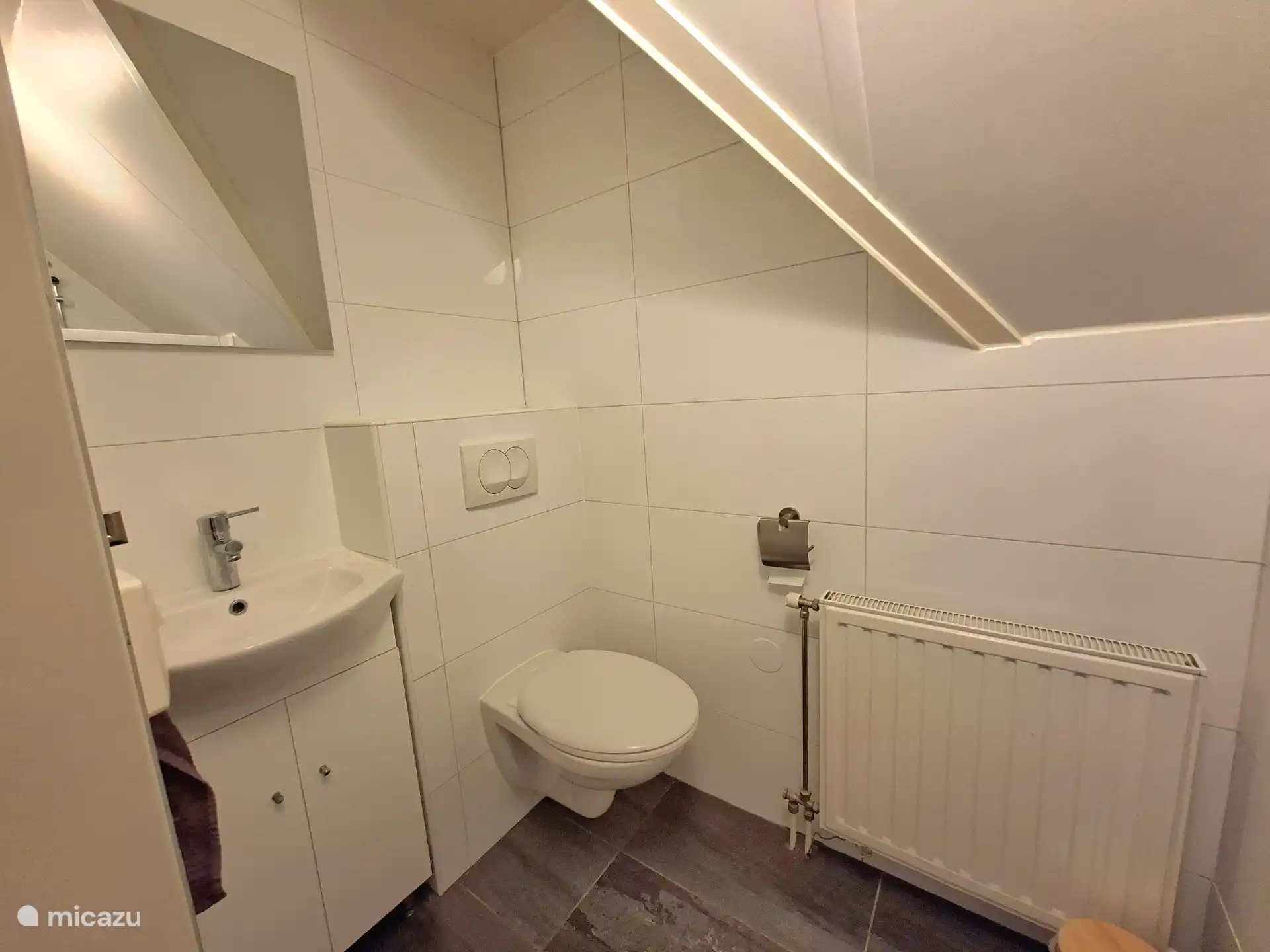 Bathroom with shower and toilet upstairs