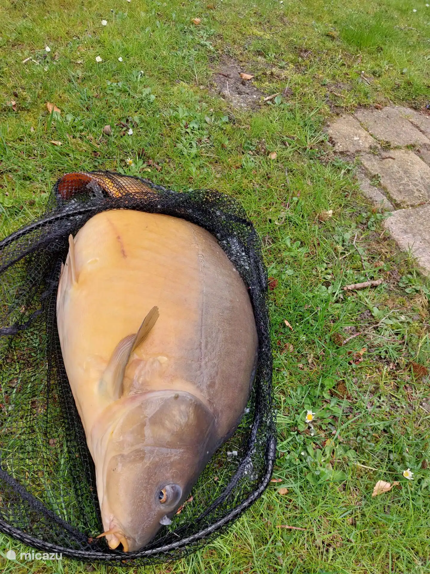 Vissen vanaf je eigen steiger