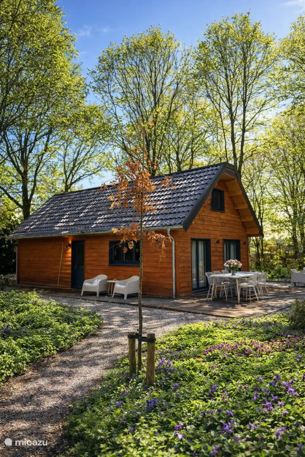 Luxe houten boshuisje met hottub huren in Nederland, Limburg, Meijel - blokhut / lodge