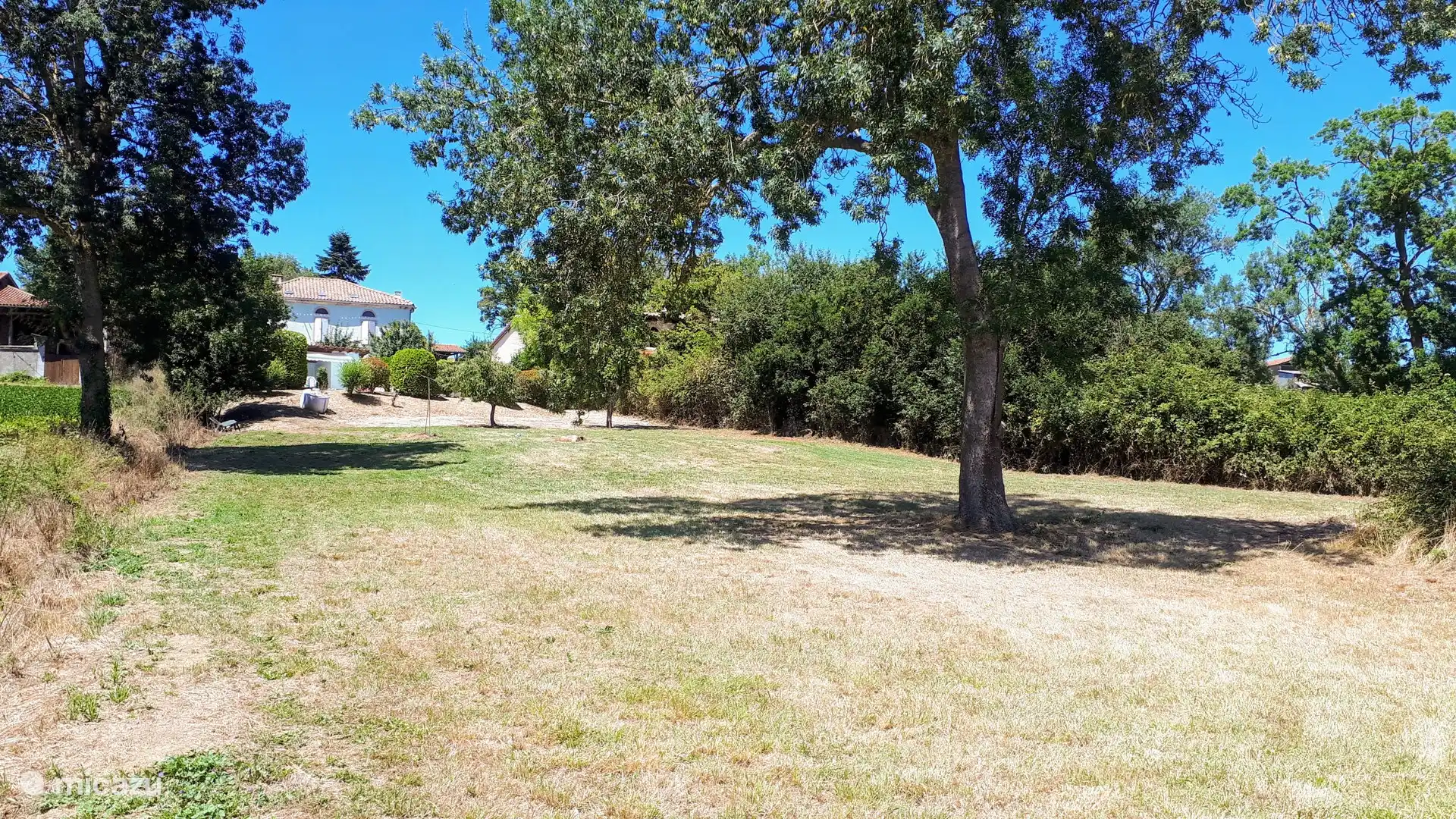 gras veld bij het zwembad 1000 m²