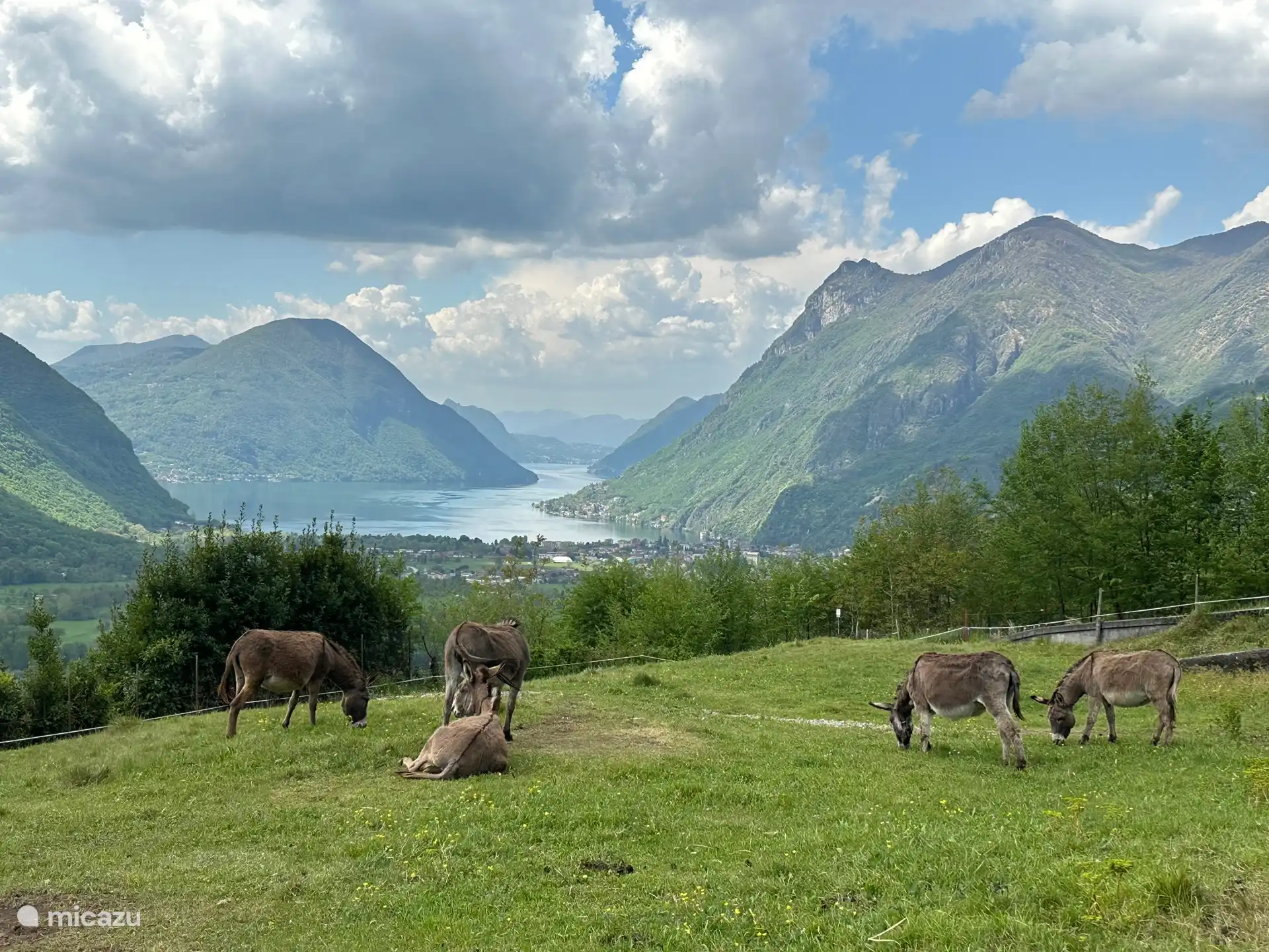Vue sur Porlezza et le lac de Lugano