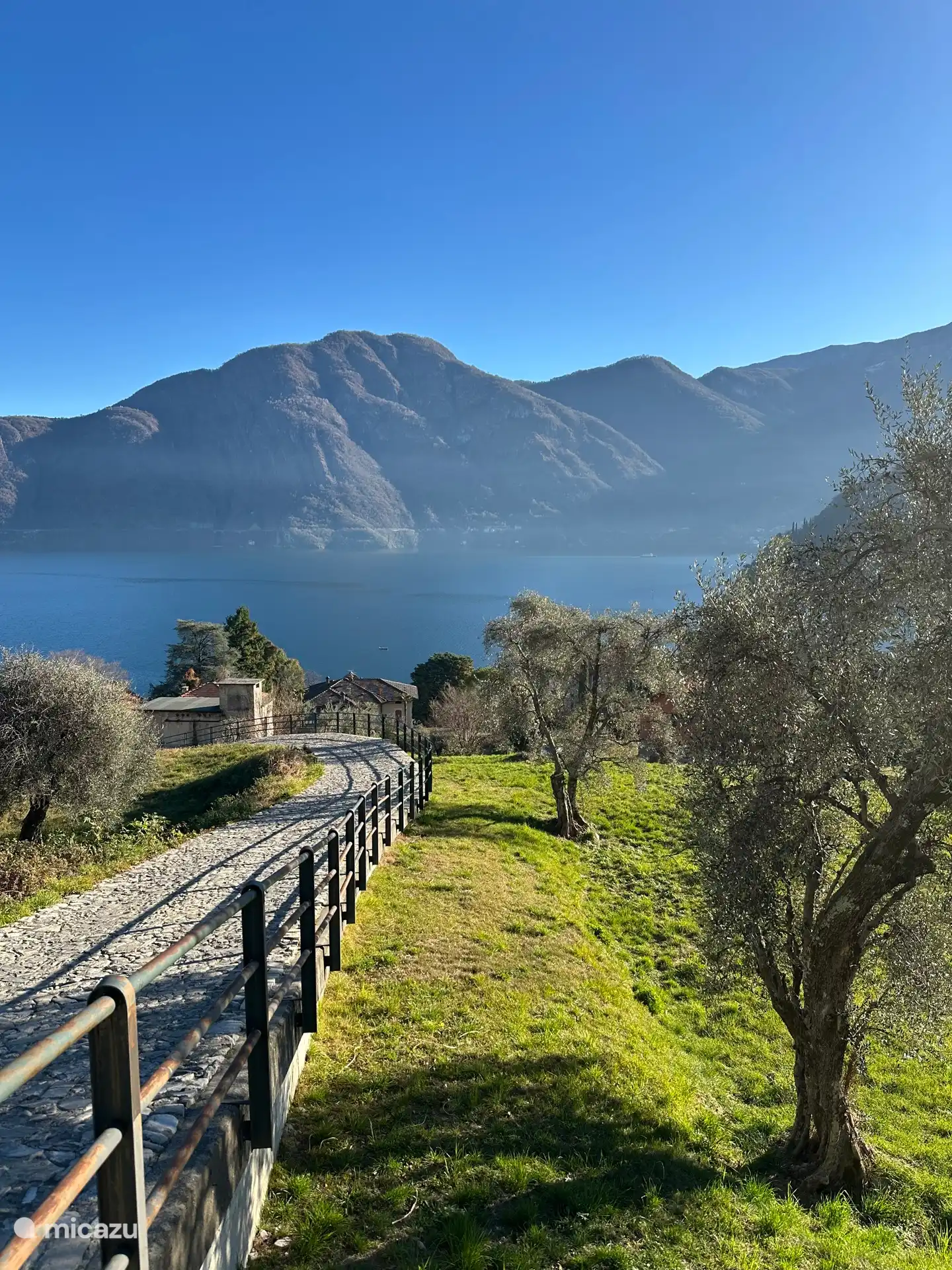 Magnifique en décembre
