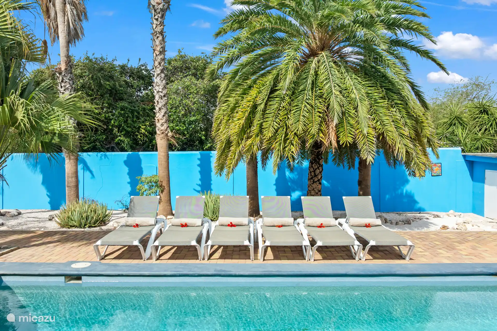 Relaxzone – Ligbedjes
Zonnen, lezen of gewoon ontspannen: de comfortabele ligbedjes nodigen uit om helemaal tot rust te komen. 