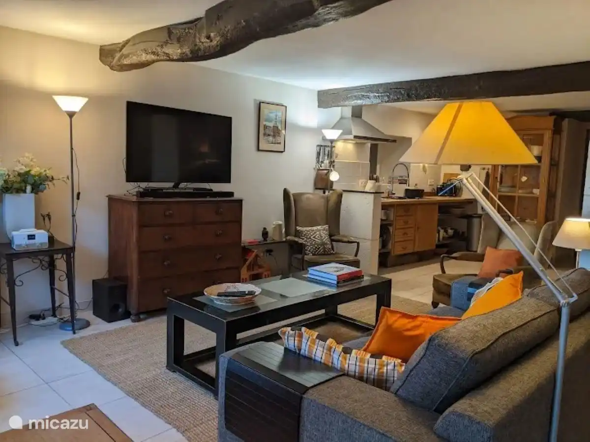 Sallon avec coin salon et cuisine intégrée