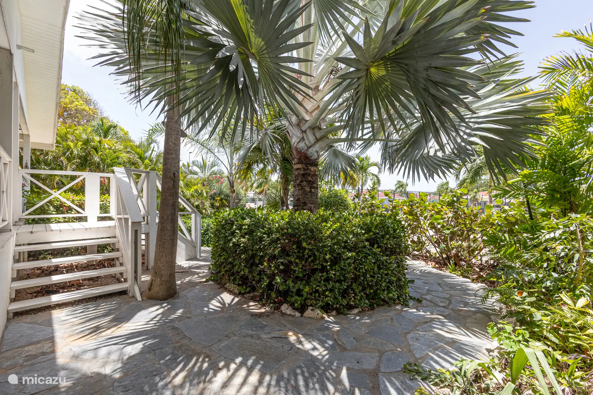 Jardín tropical 