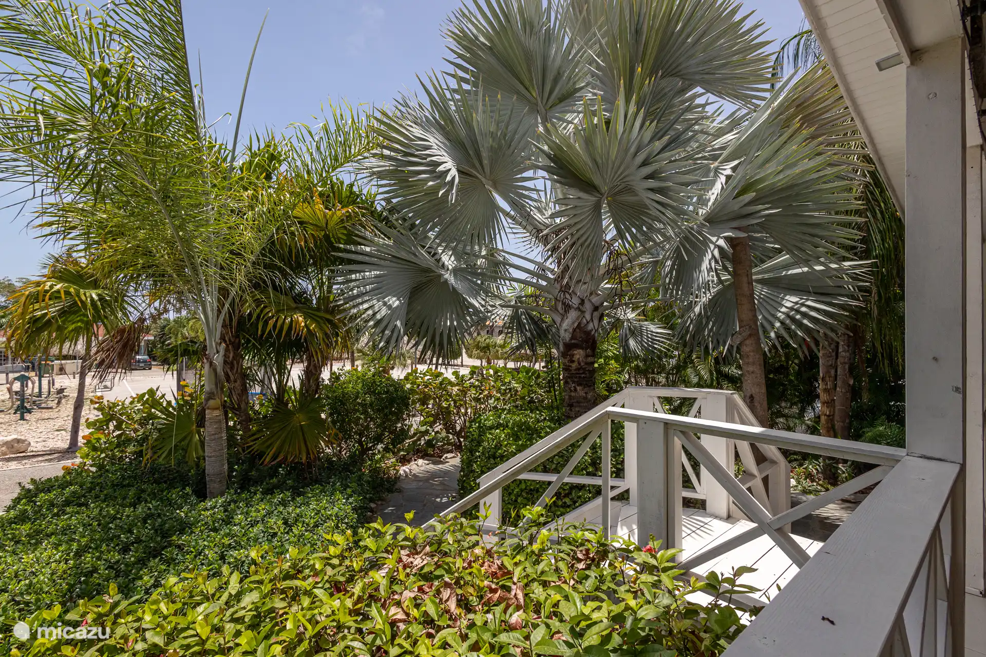 Jardín tropical
