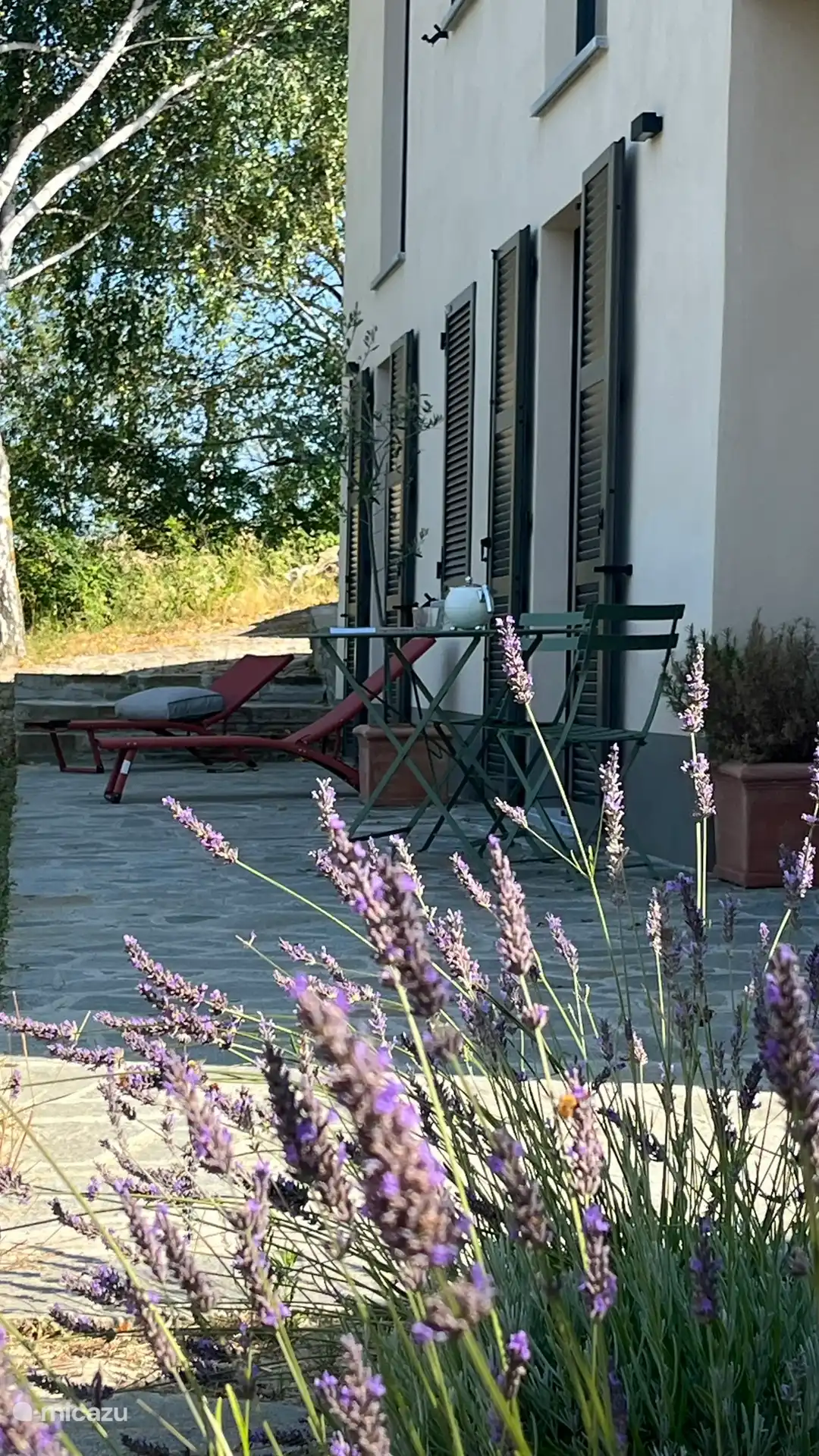 Des places en terrasse pour s’asseoir. Il y a 4 chaises longues et une table douillette avec 4 chaises. En été, vous pouvez vous asseoir ici à l’ombre les jours chauds.