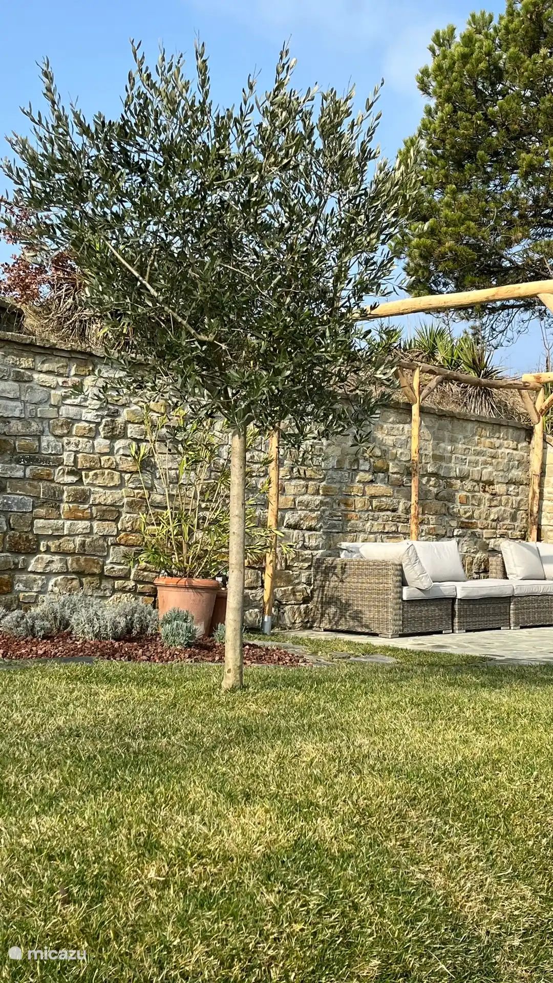 Zithoek in detuin. De pergola zal in de zomer schaduw bieden.