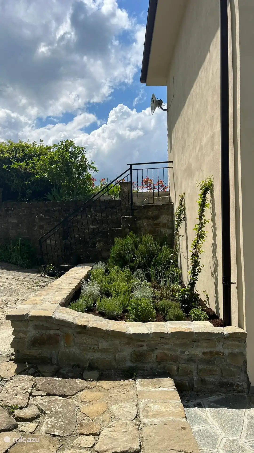 Des herbes fraîches du jardin