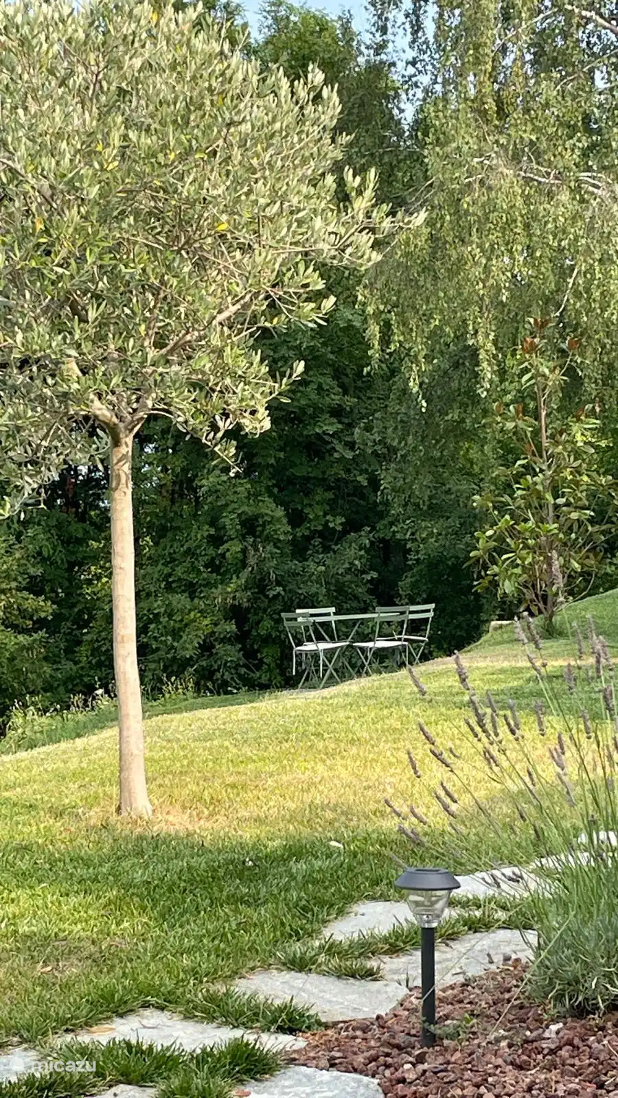 Seat in the garden. In the summer there are several corners in the shade.