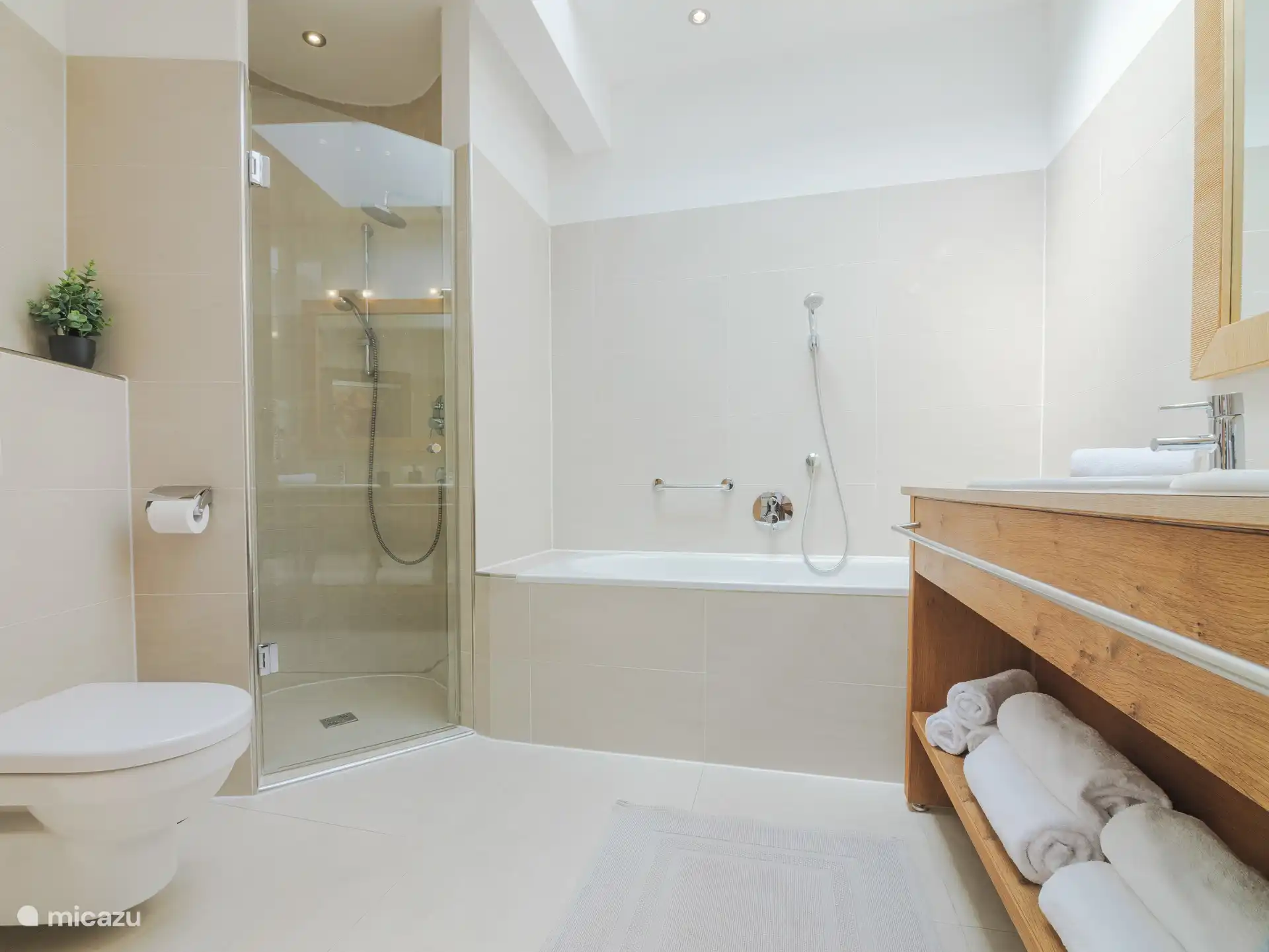 Badkamer met douche, bad en toilet. Er is ook een apart toilet in het appartement.