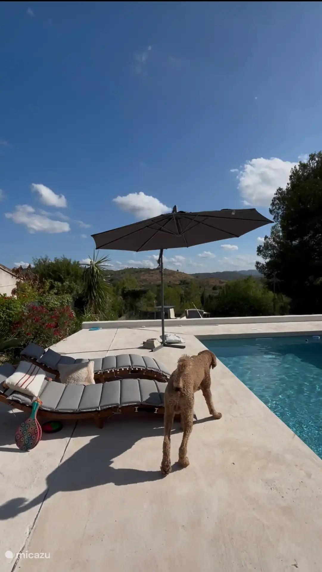 Piscina - compartida