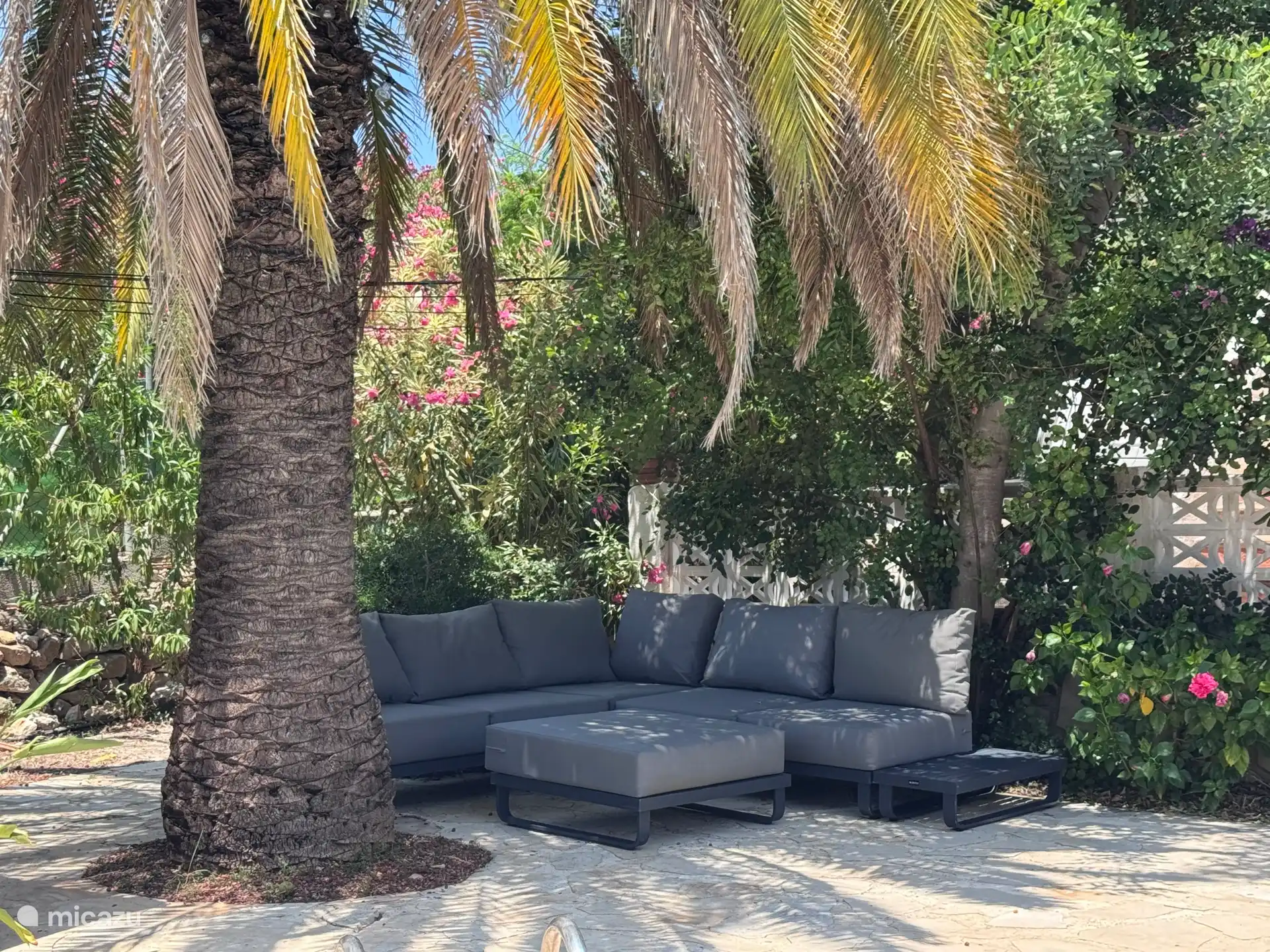 Loungen in de schaduw van een palmboom