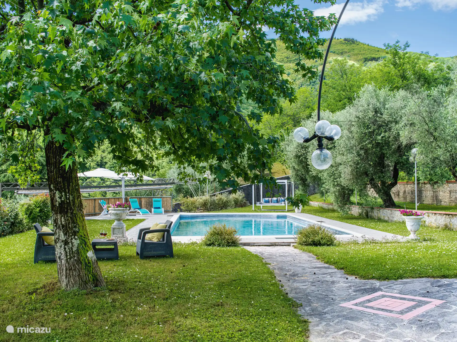 Garden with swimming pool