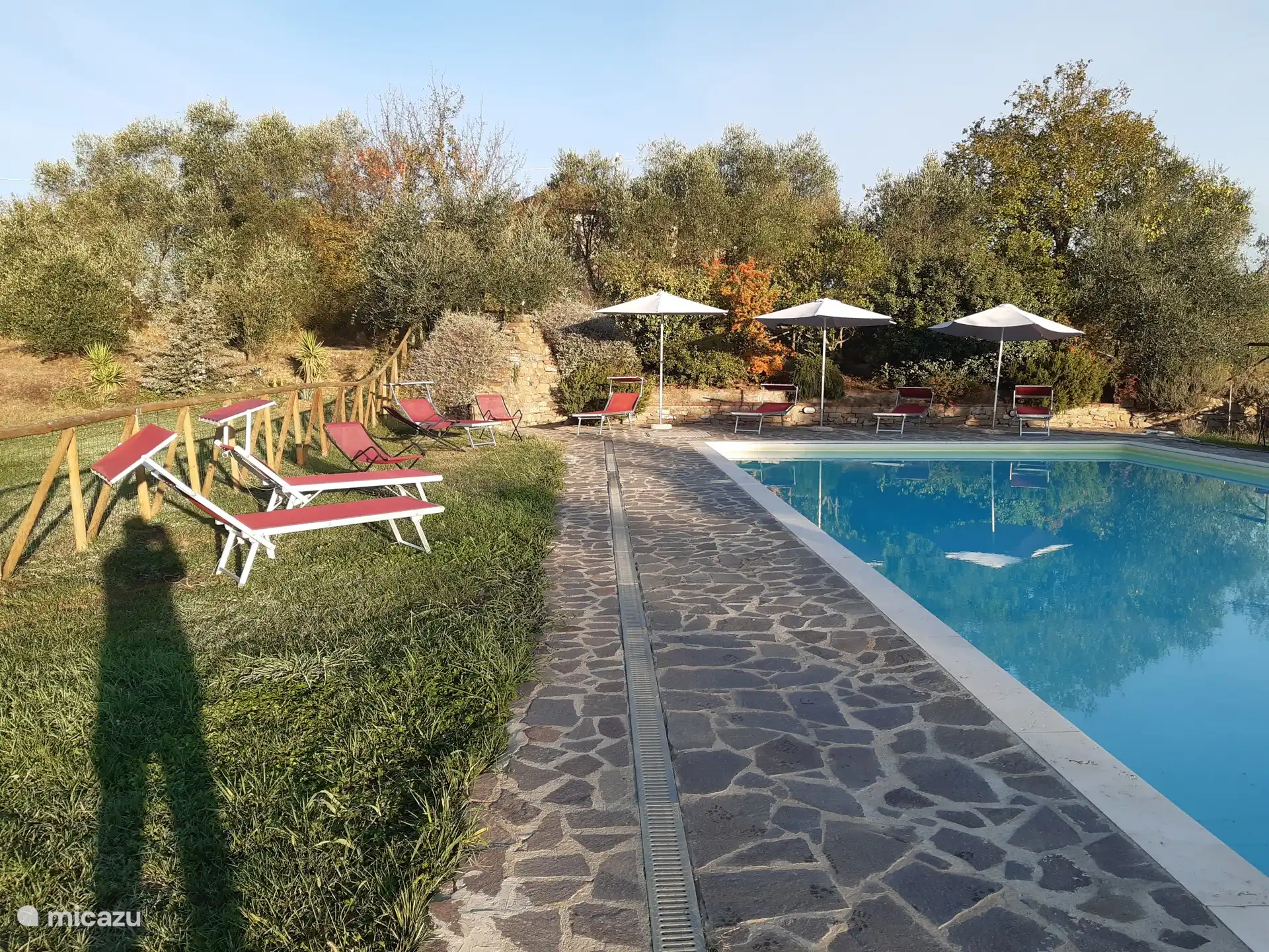 Ligstoelen langs het zwembad