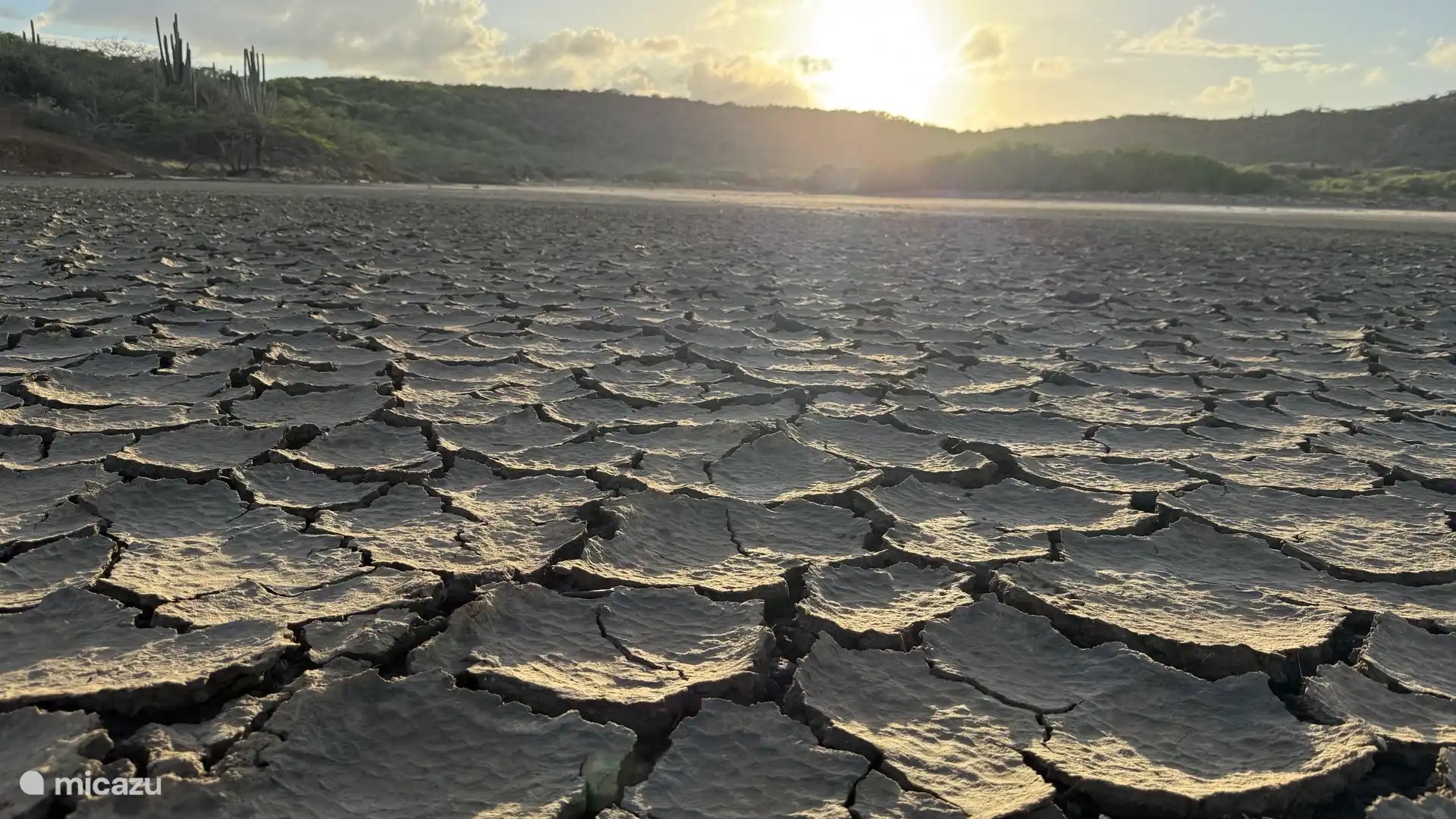 Sendero de flamencos cercano