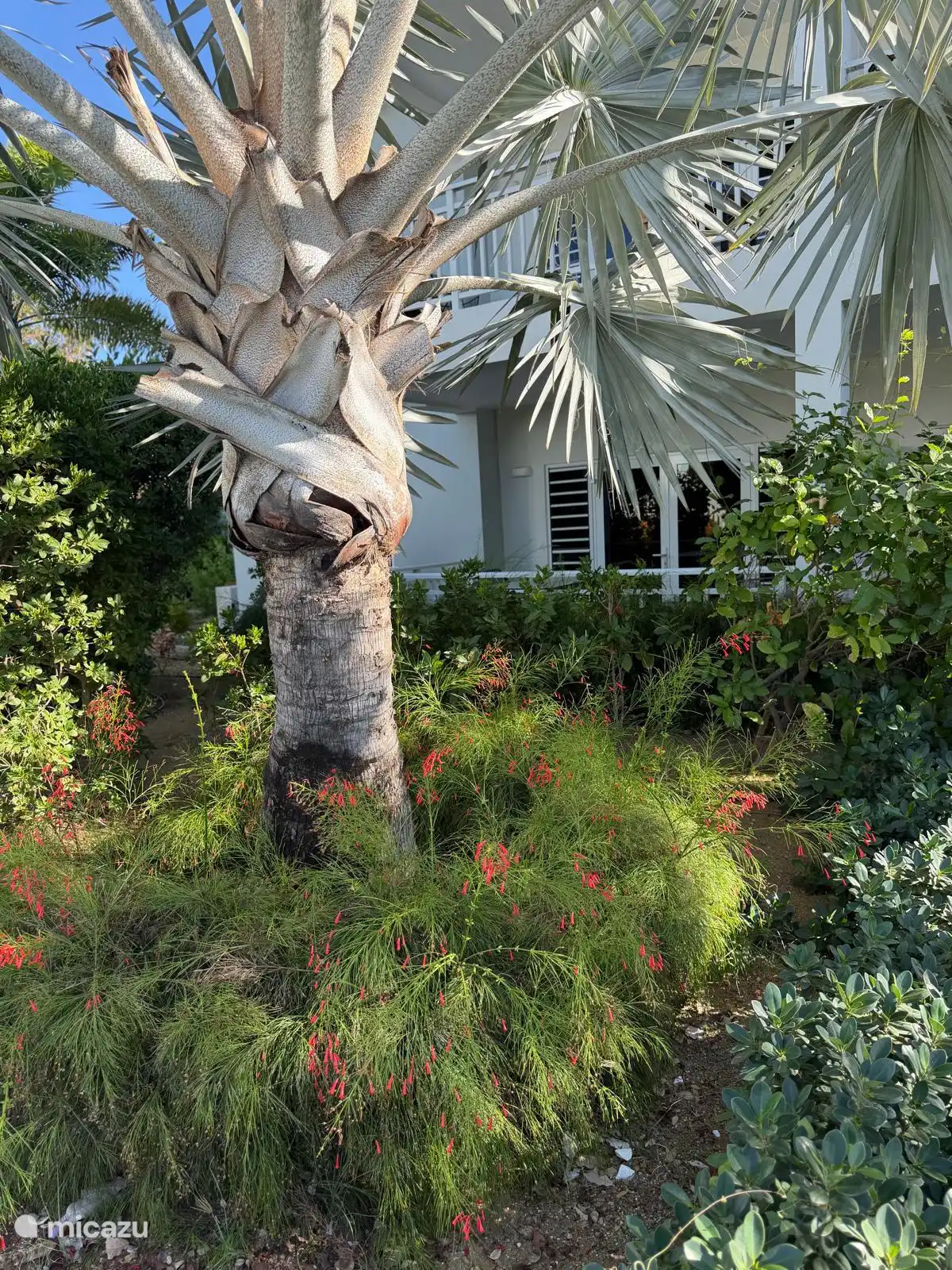 Imagen desde fuera hacia el porche