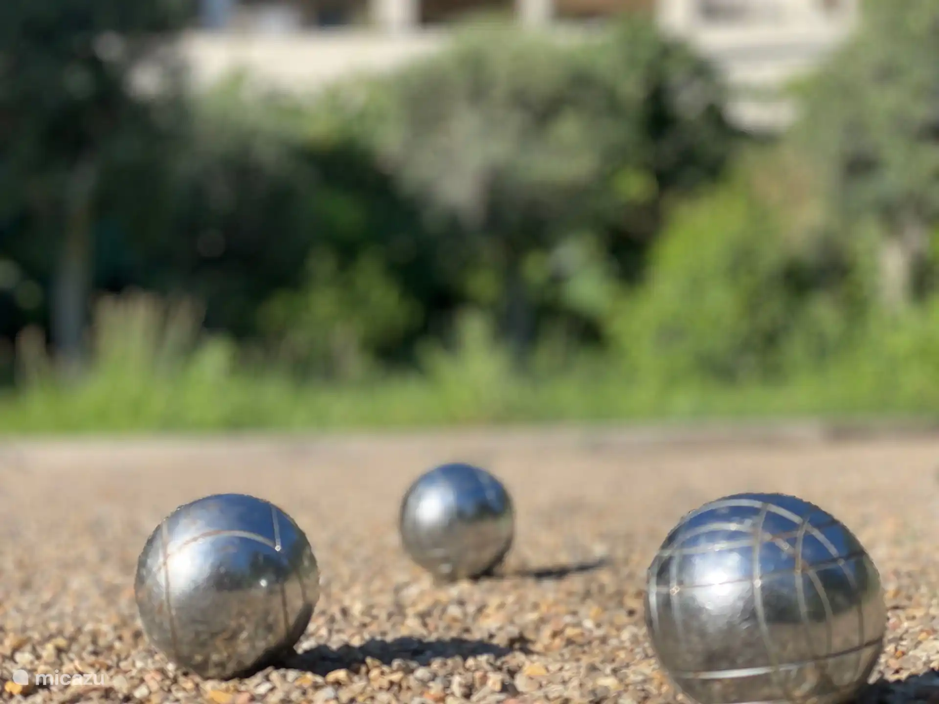 Pétanque-hof