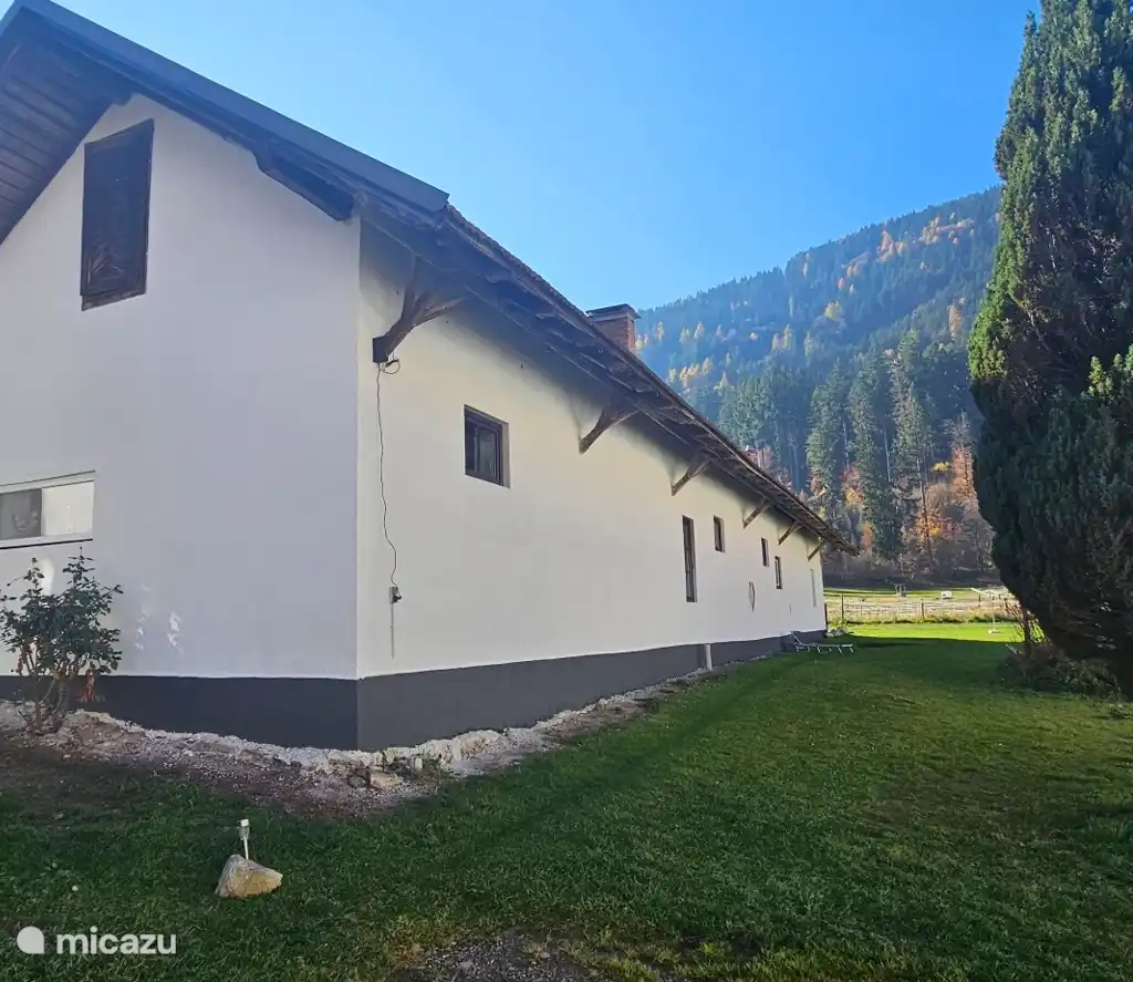 Ferien- und Pferdegut: Der Sommer