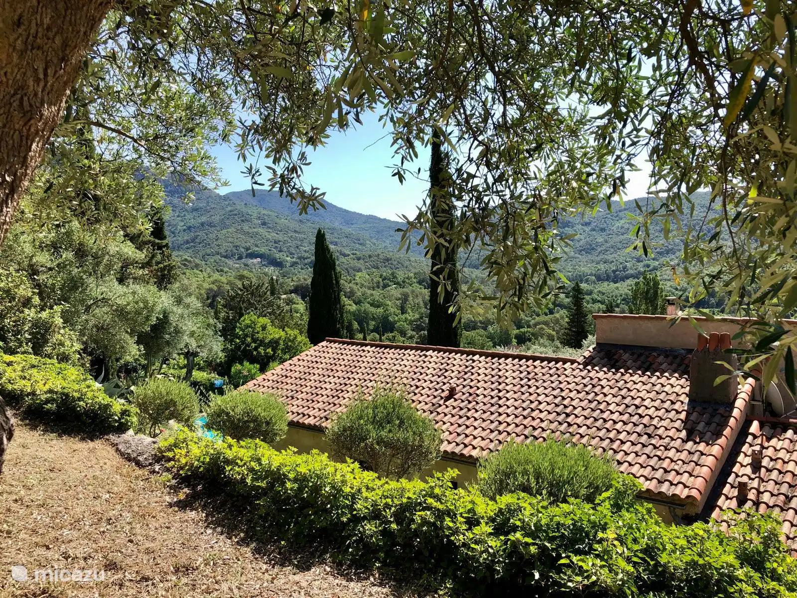Blick vom 1. Terrassen-Obstgarten