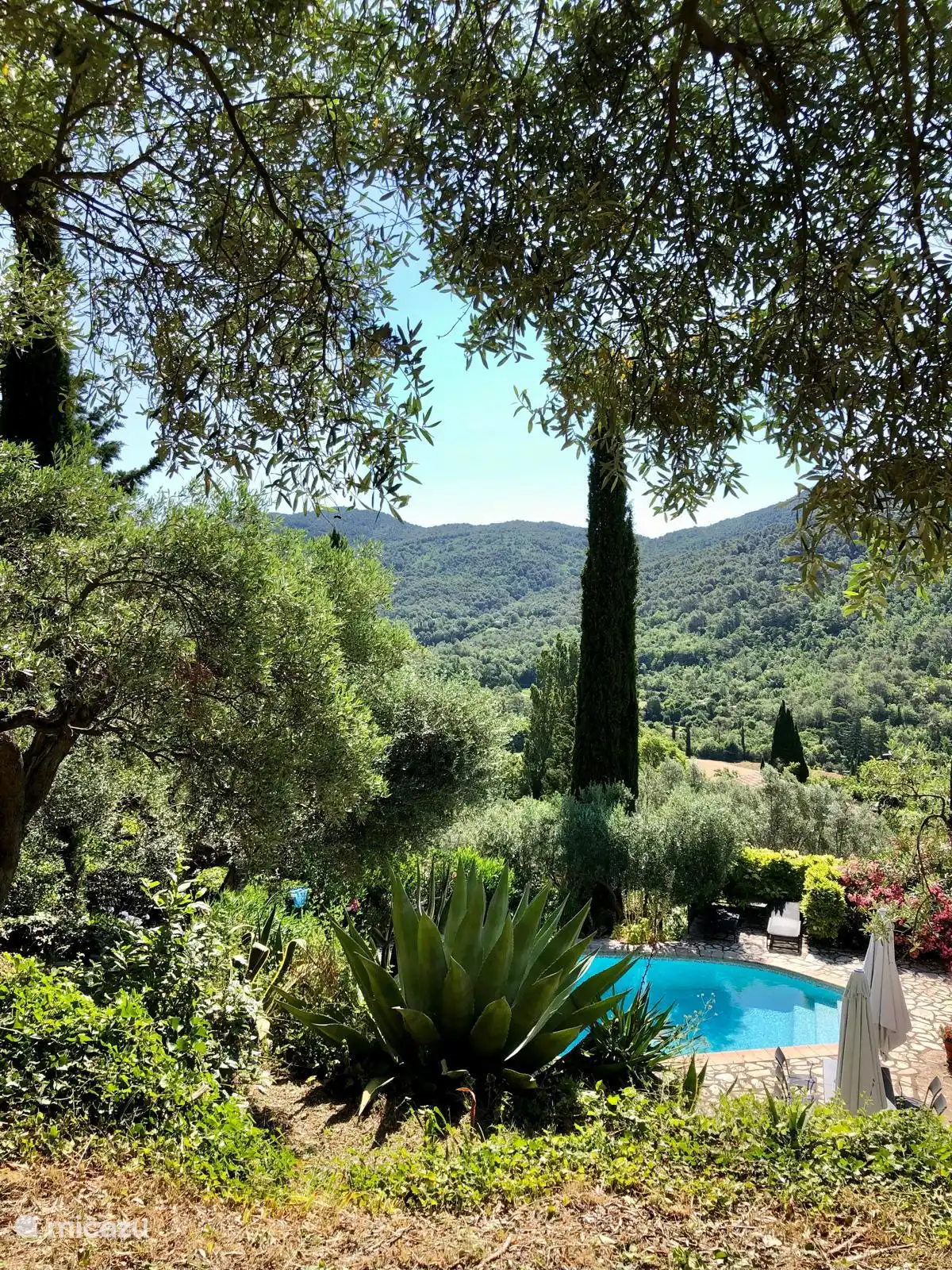 Blick von der Hängematte aus dem Obstgarten