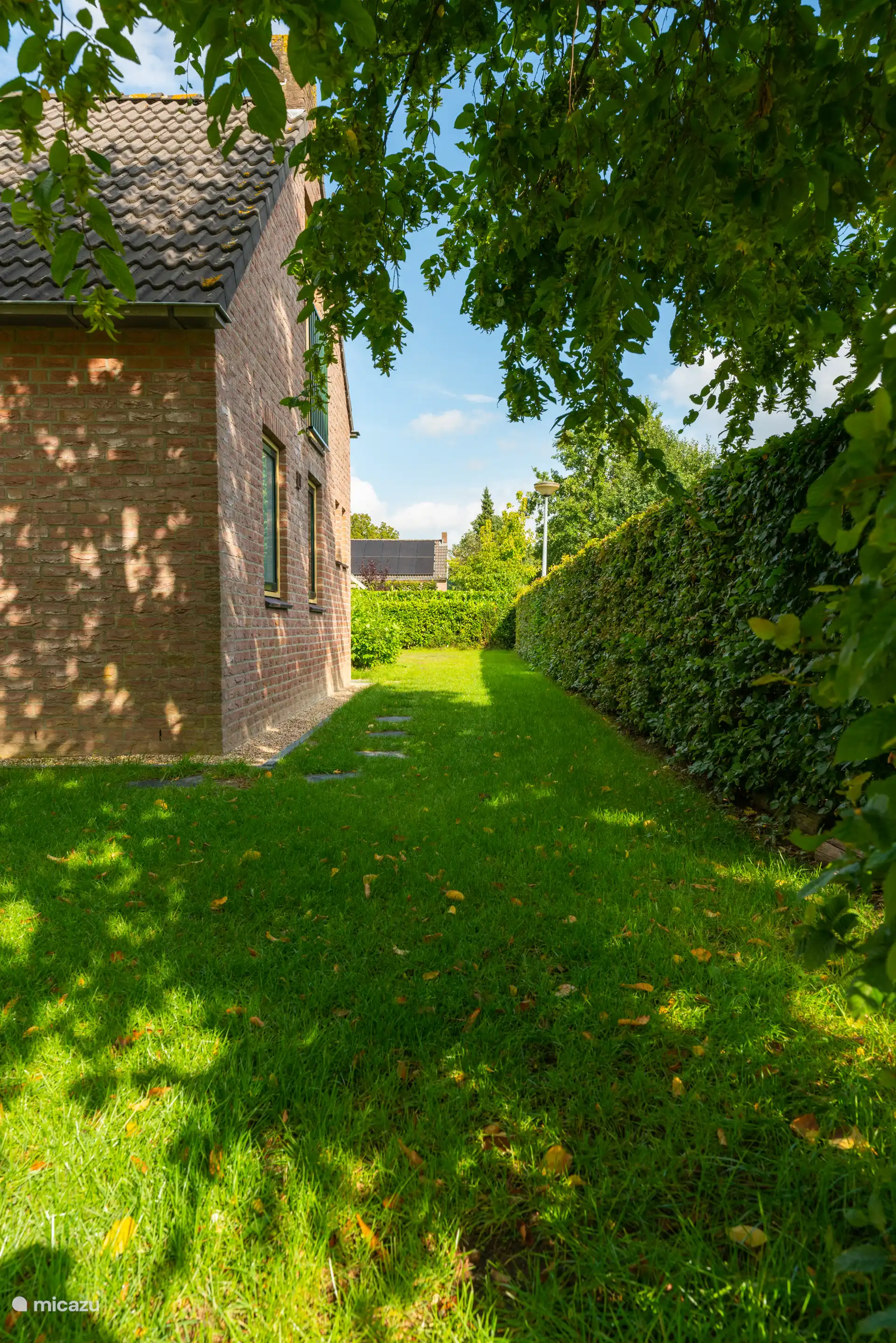 Pad naast de woning in de tuin