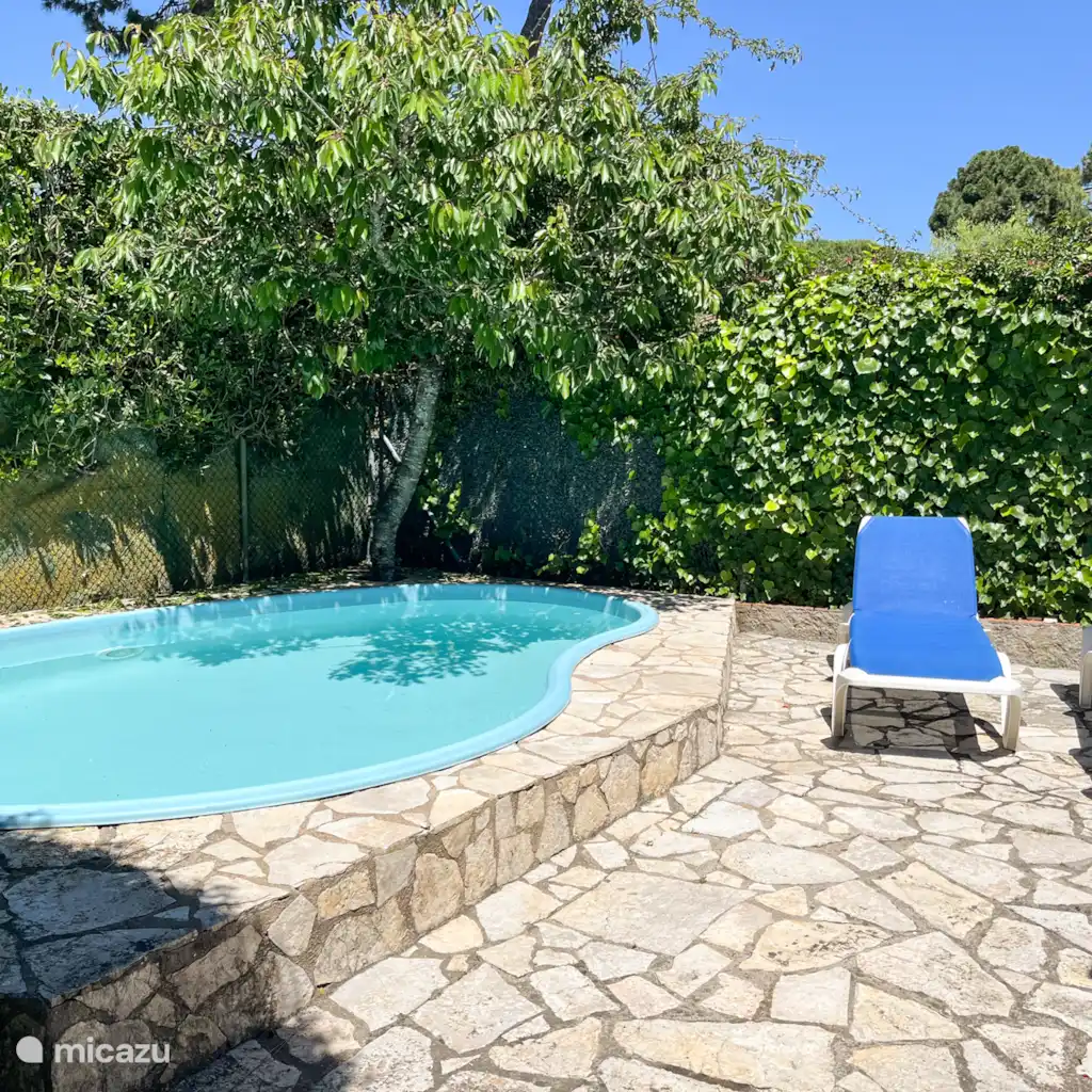 Casa Ray Sc2