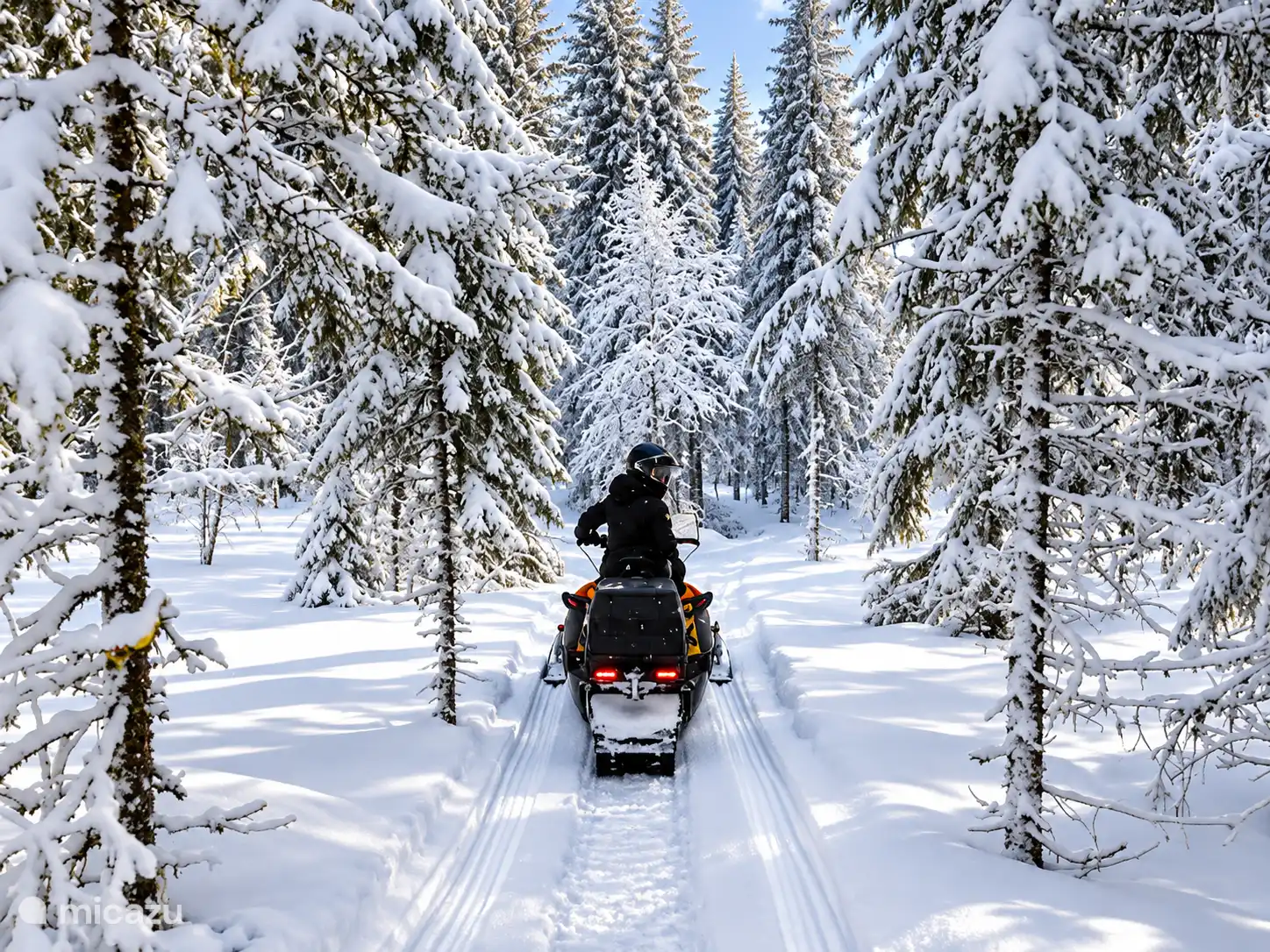 Schneemobil
