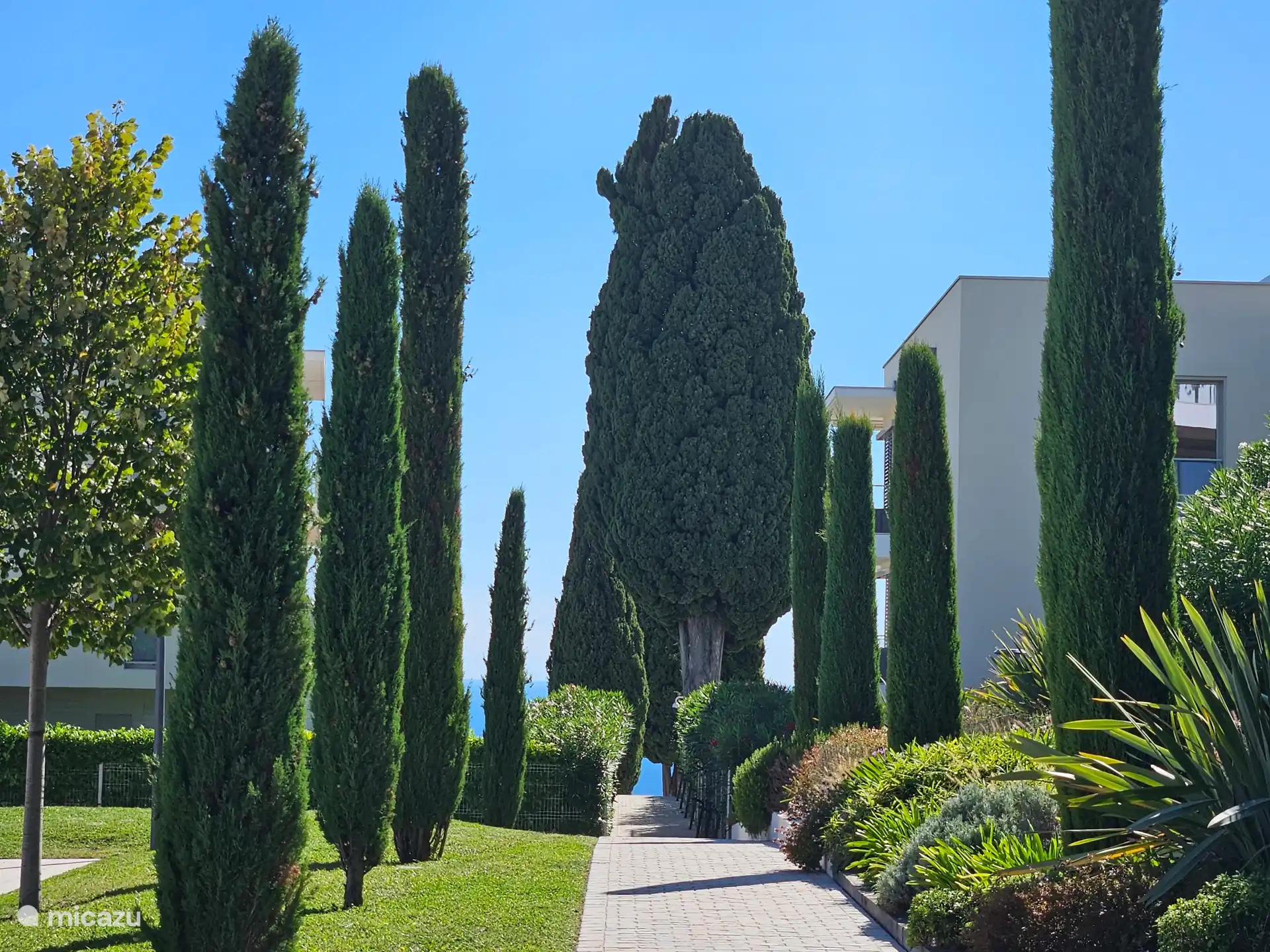 Het park en de honderd jaar oude cipressen