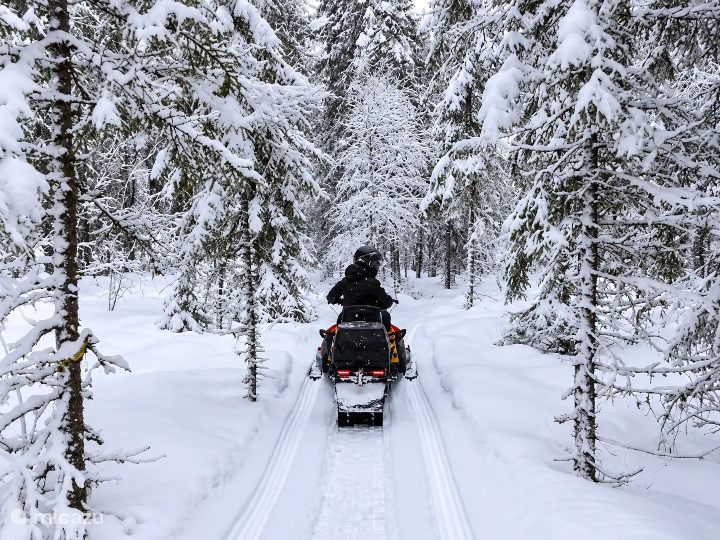 Ruta en moto de nieve