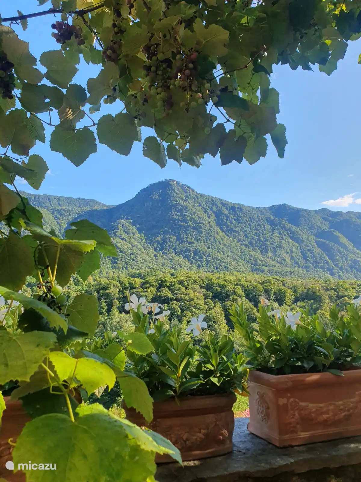 uitzicht vanuit het huis