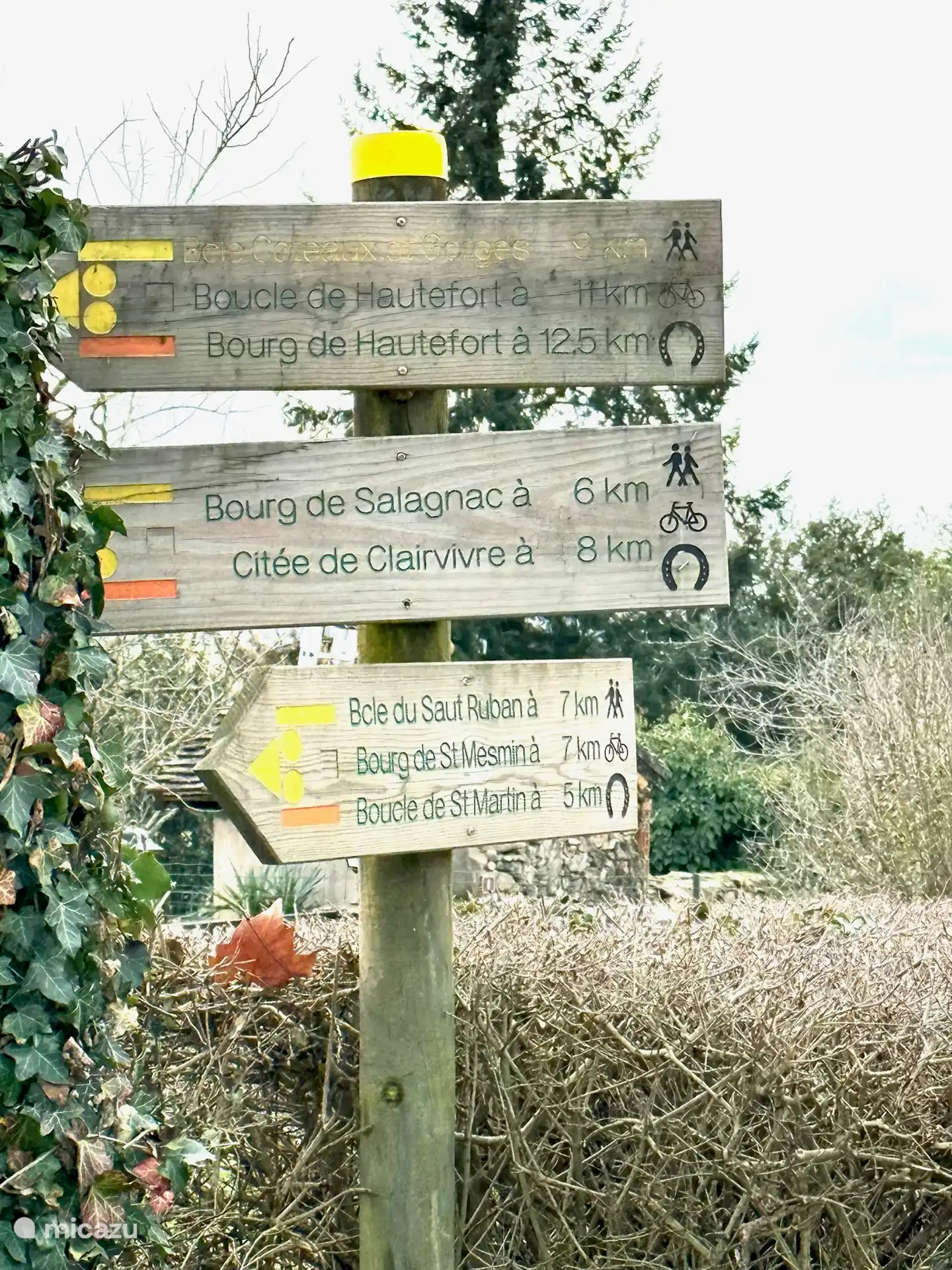 Mooie wandelroutes in de omgeving 