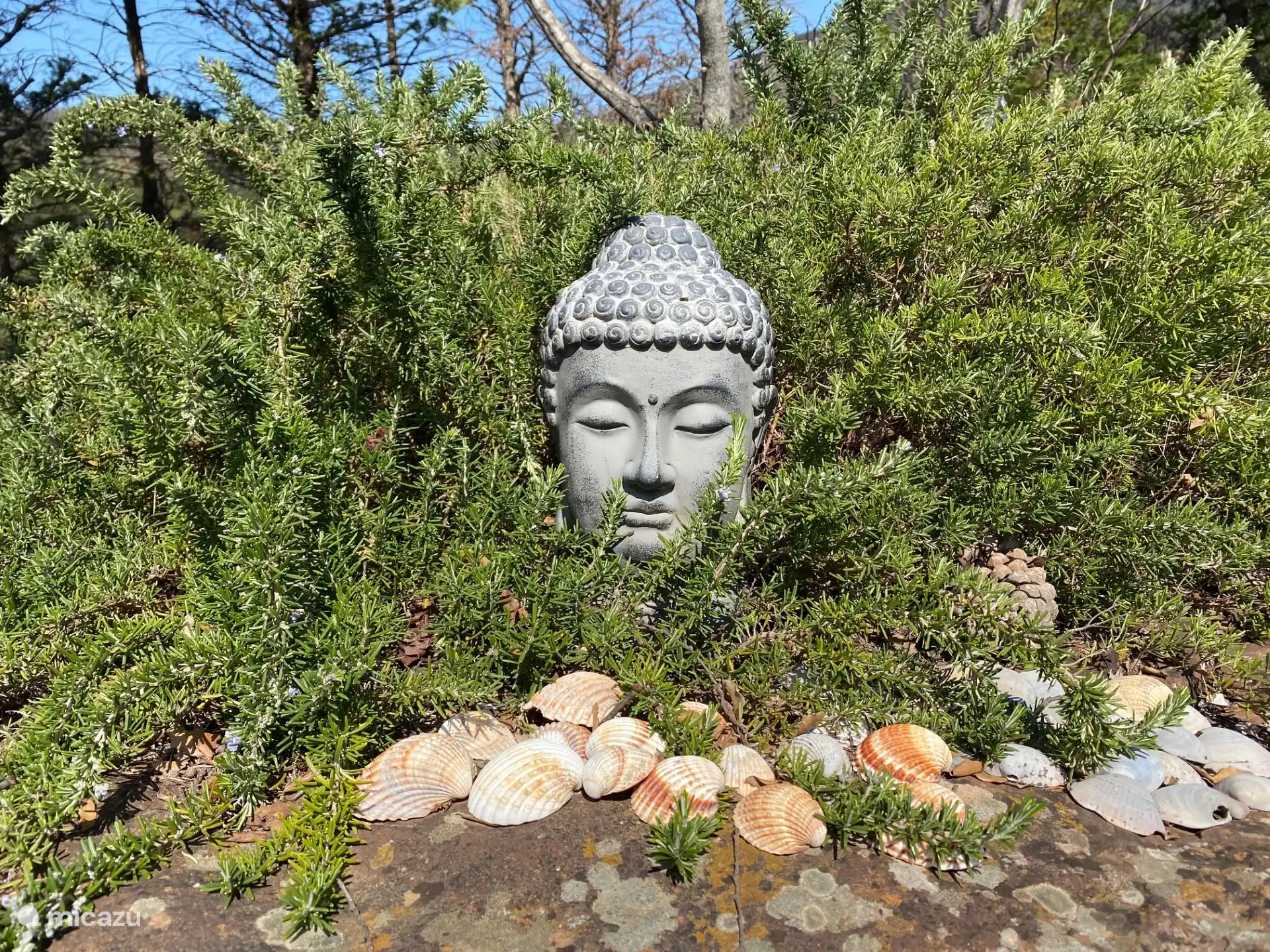 View from kitchen window