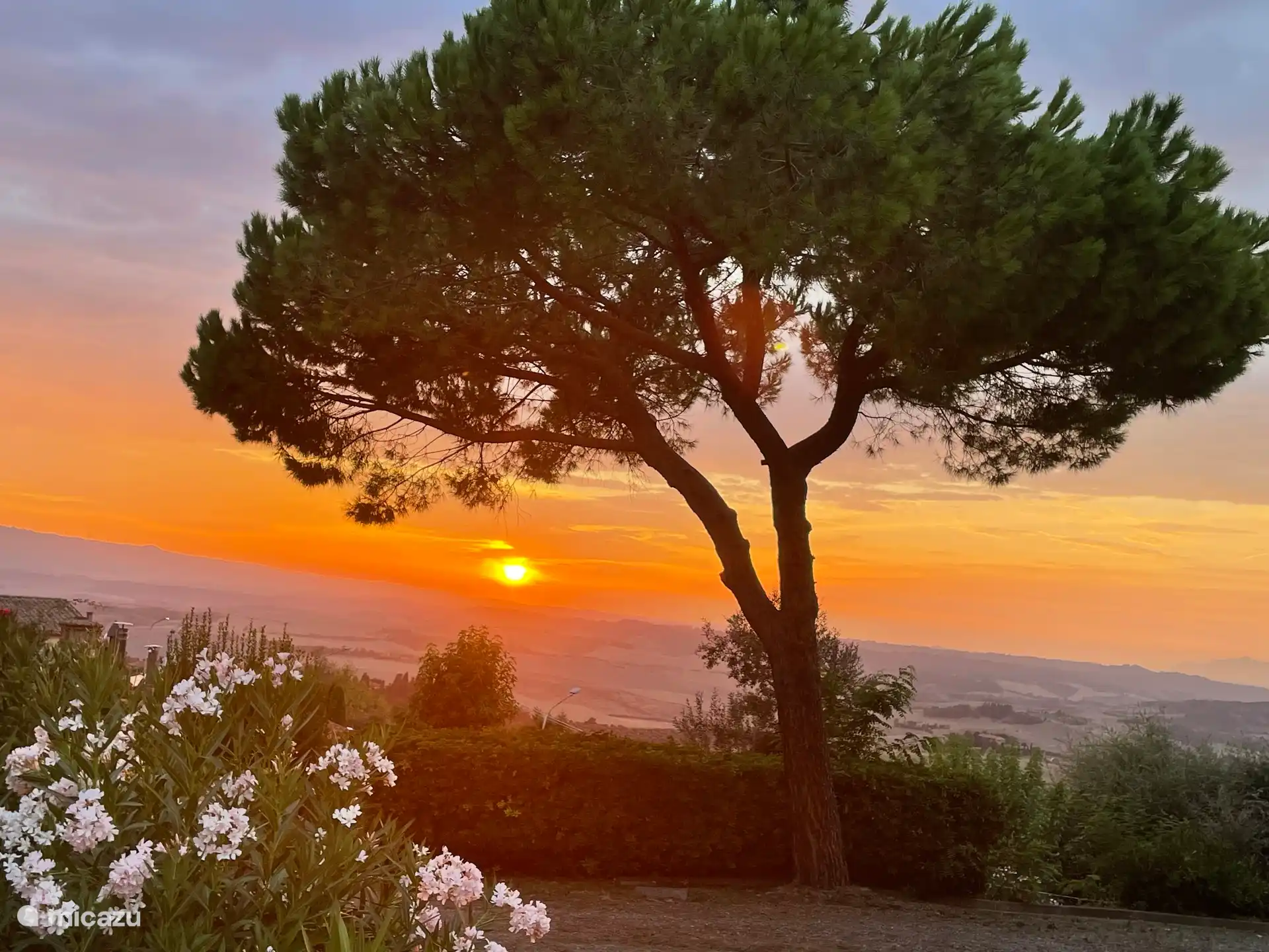 Just beautiful, the sunset