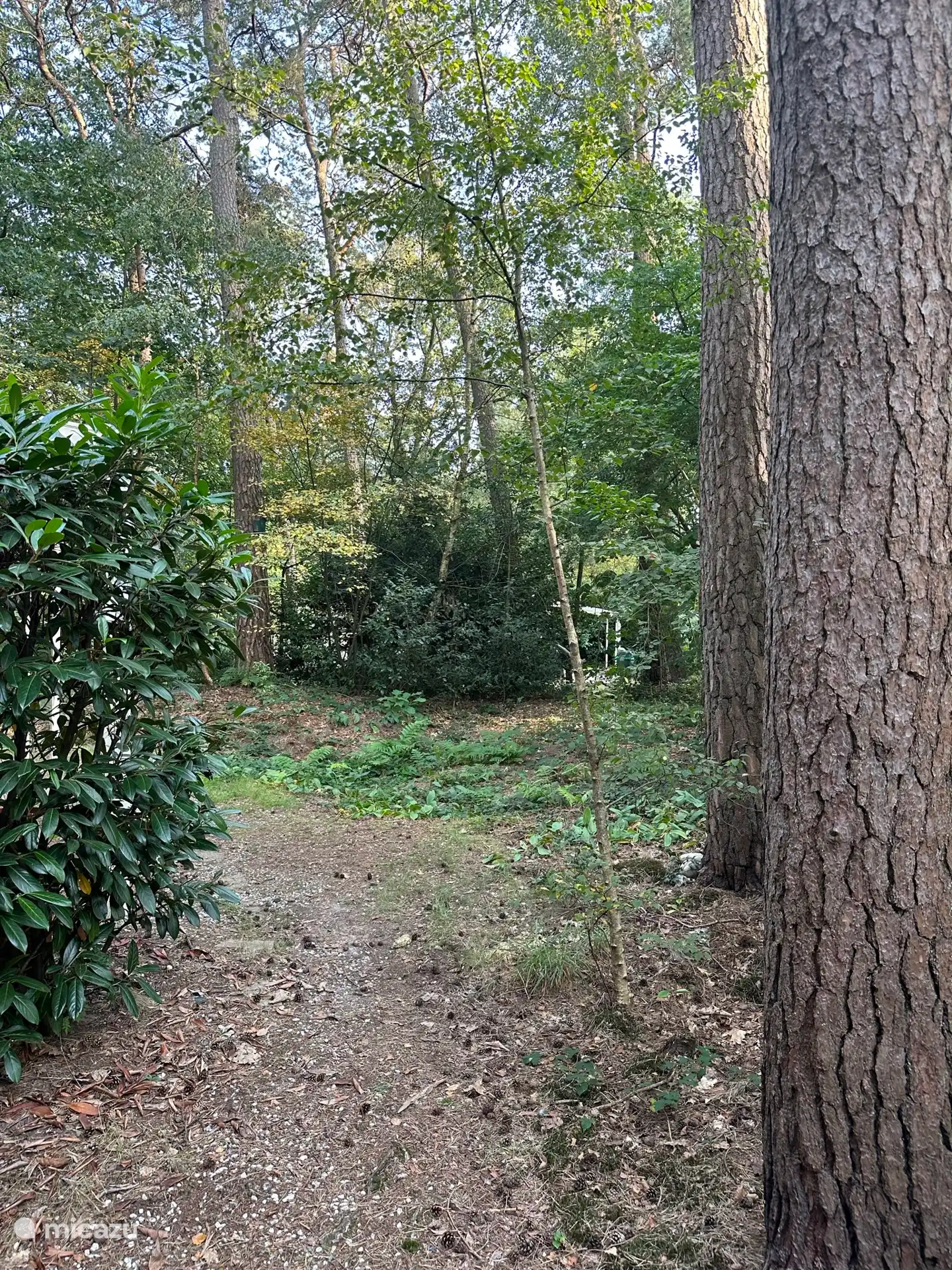 zicht vanaf de parkeerplek