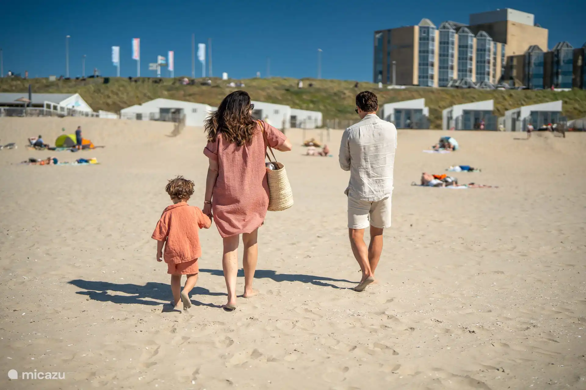 Les maisons de plage sont situées sur la plage de Zandvoort.