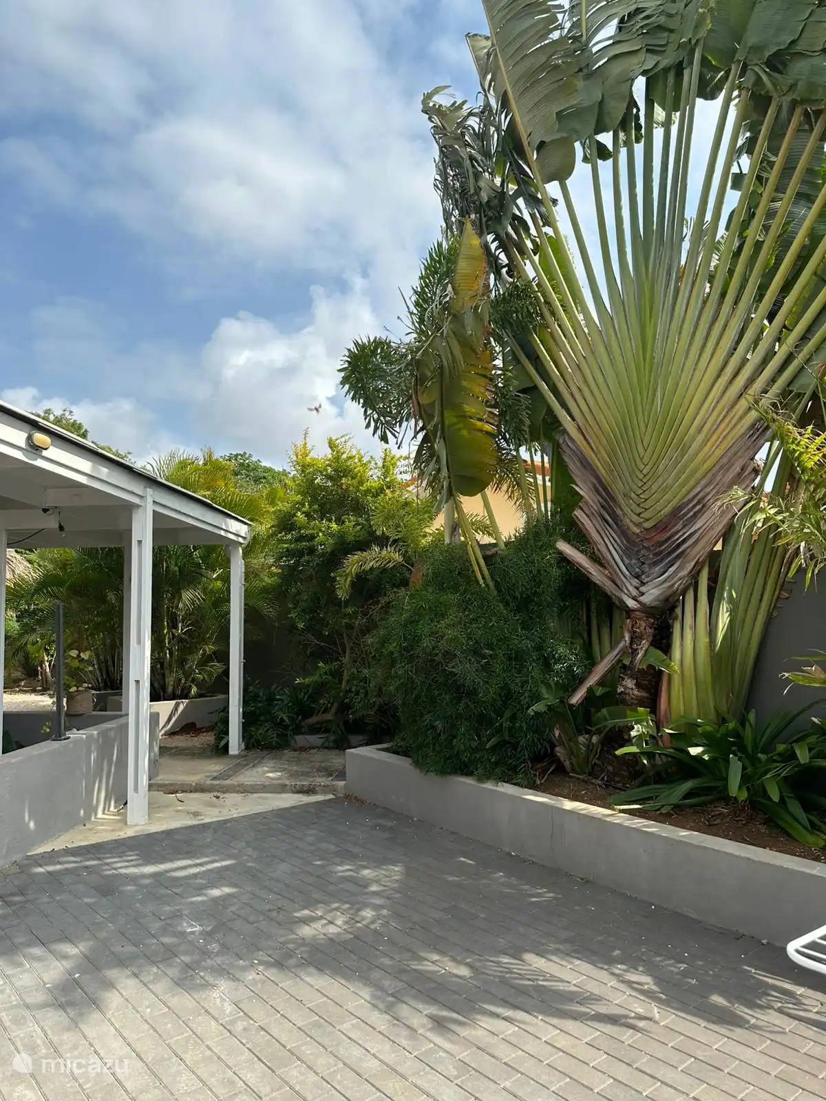 Een ander hoekje in de tuin waar je in de namiddag het zonnetje hebt met onze grote waaierpalm.