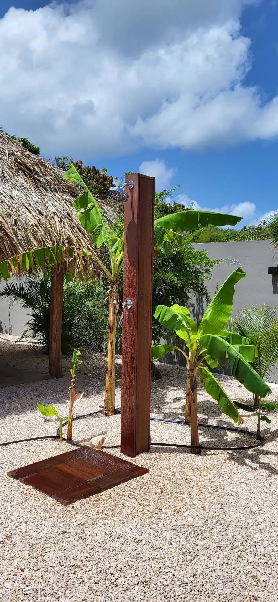 De heerlijke buitendouche omringt door bananenbomen. die inmiddels goed volgroeid zijn!