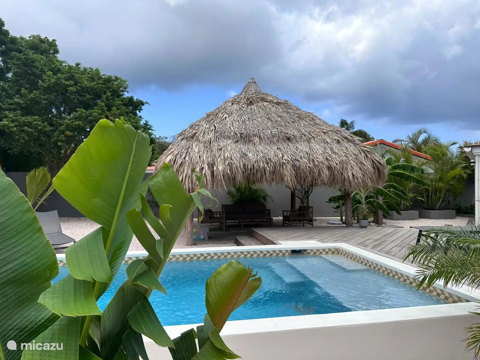 Tropische groene tuin. met veel groen en vogeltjes.