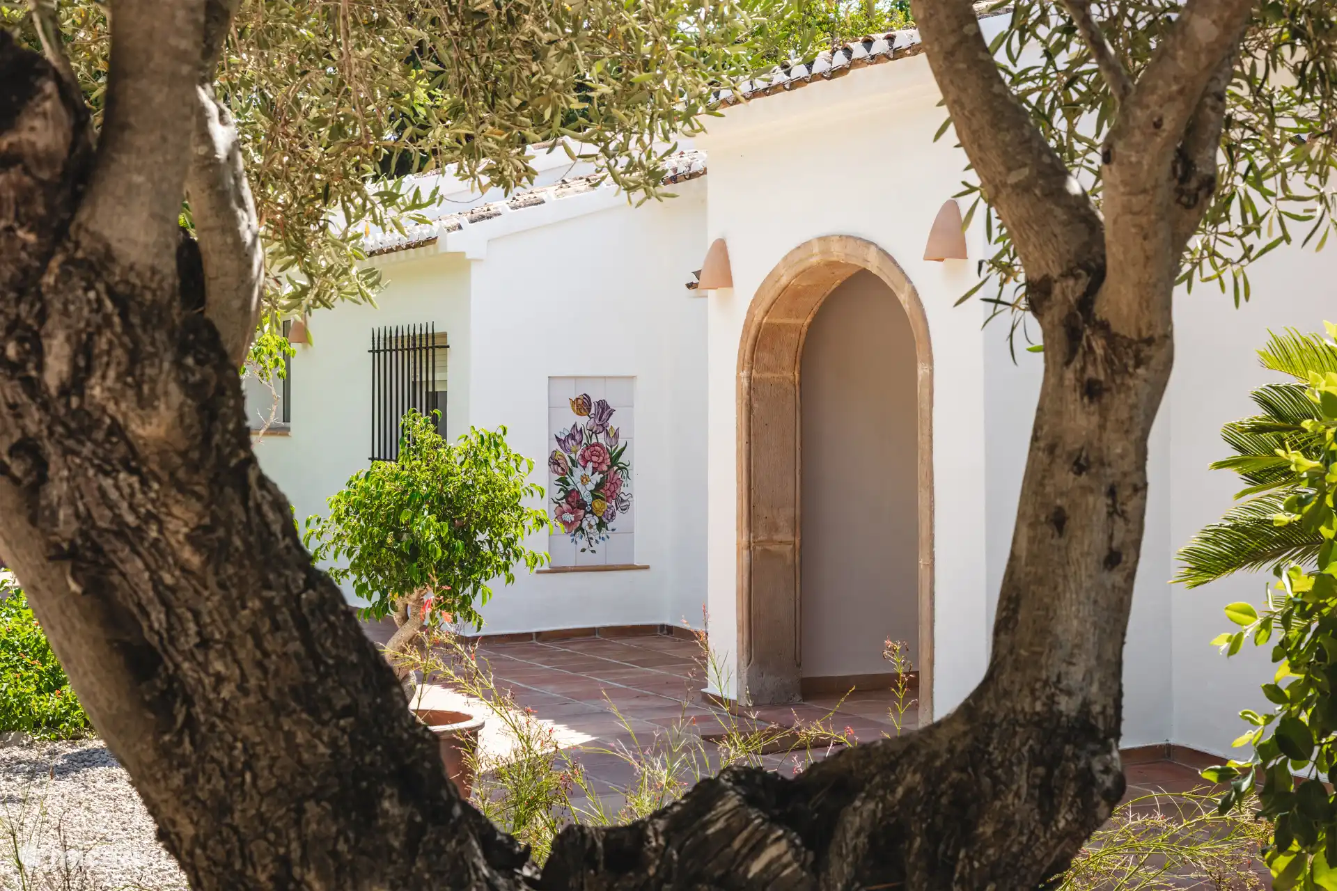 Beautiful niche with olive tree.