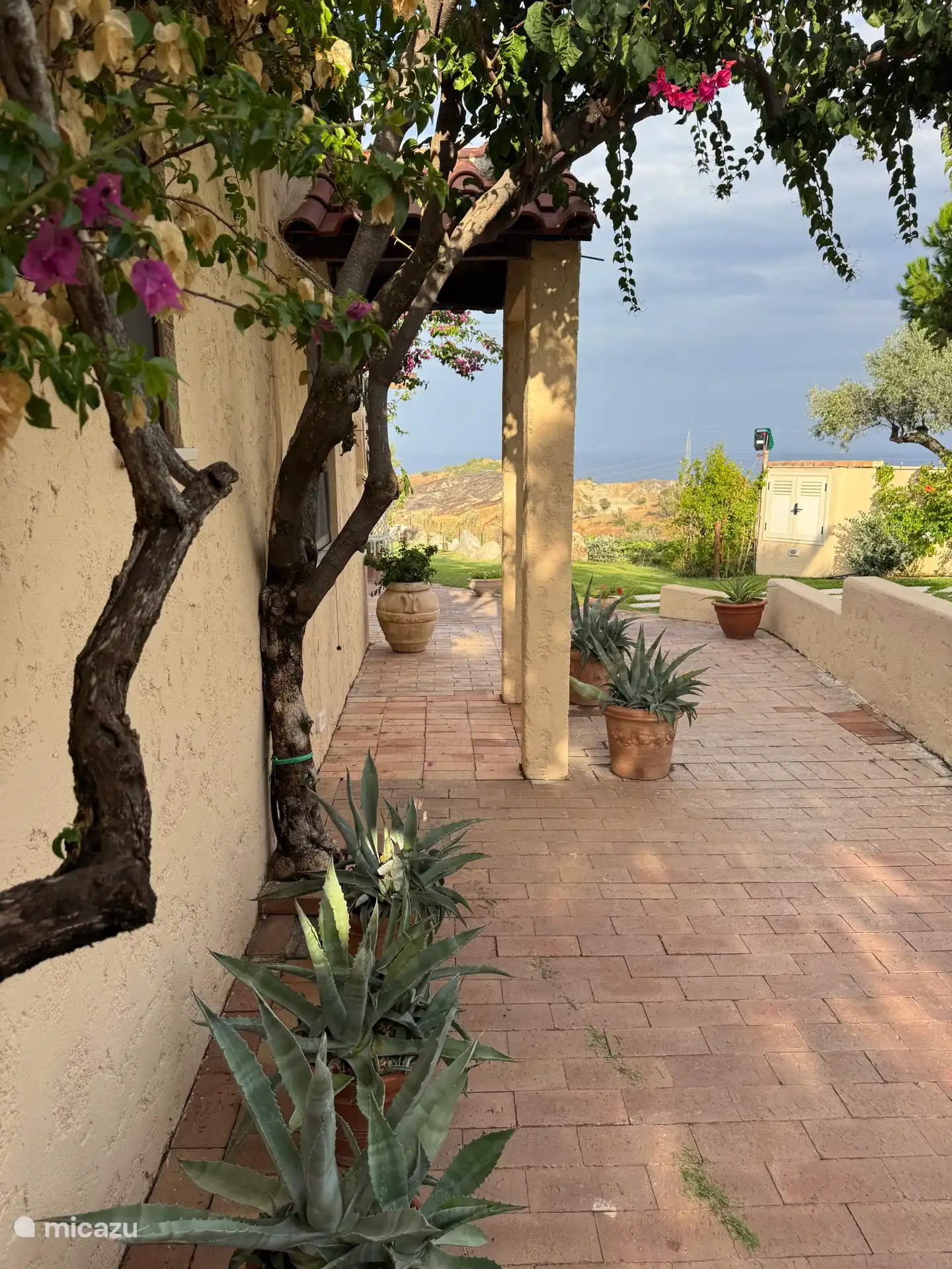 The side of the house