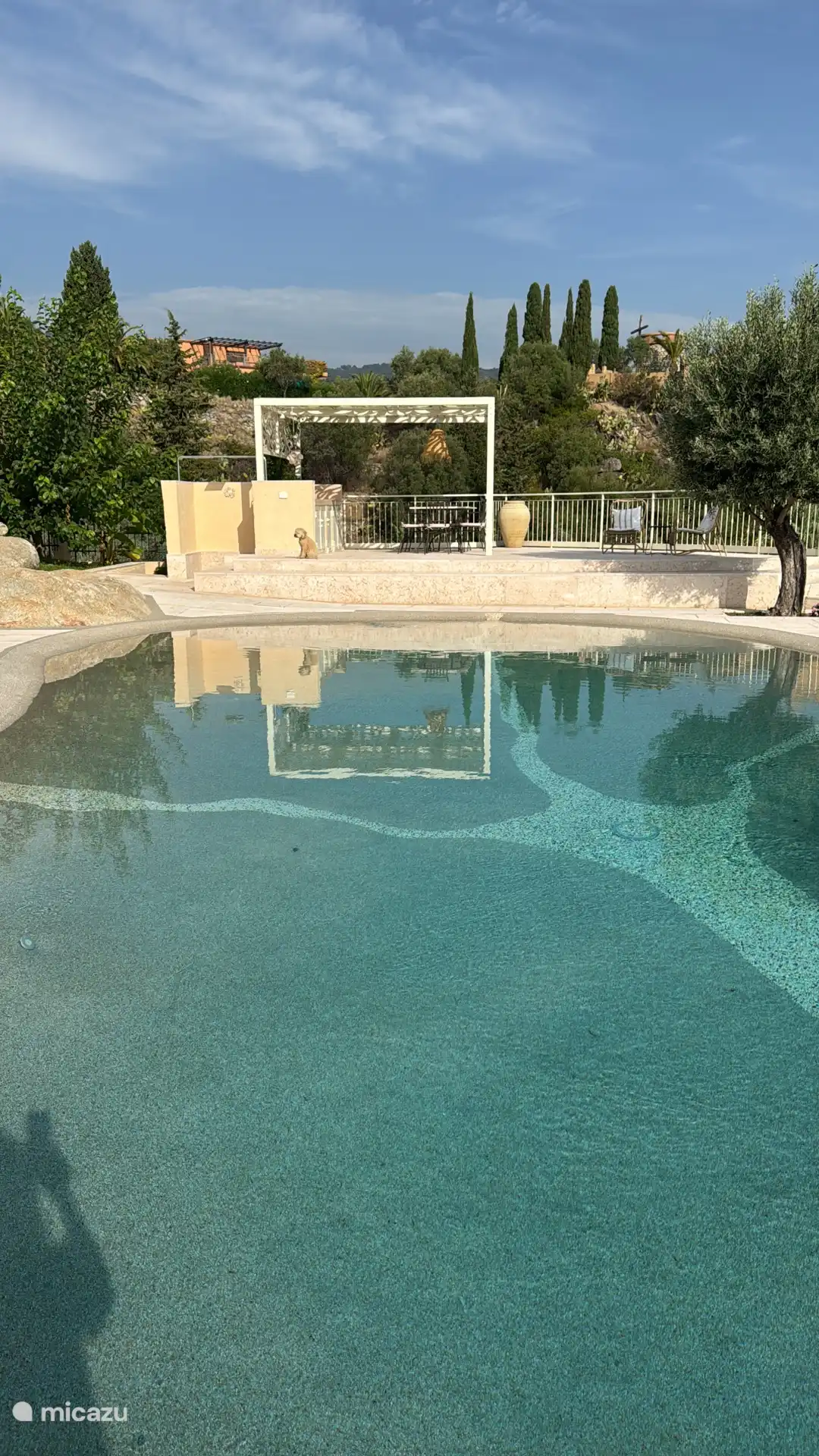 Swimming pool and raised terrace
