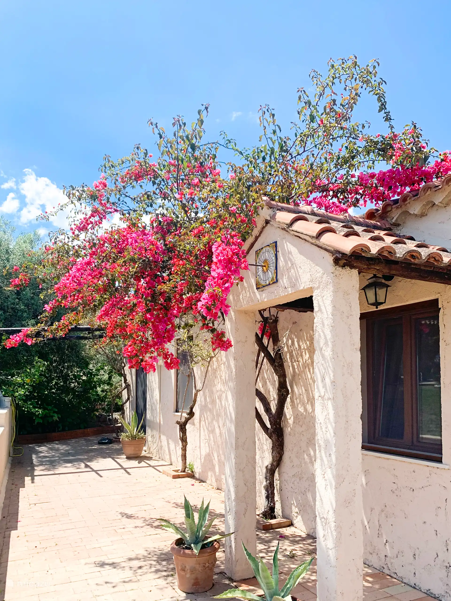 De villa heeft een warme, mediterrane uitstraling met lichte gevels, terracotta dakpannen en bloeiende bougainville. Een sfeervolle aankomst.