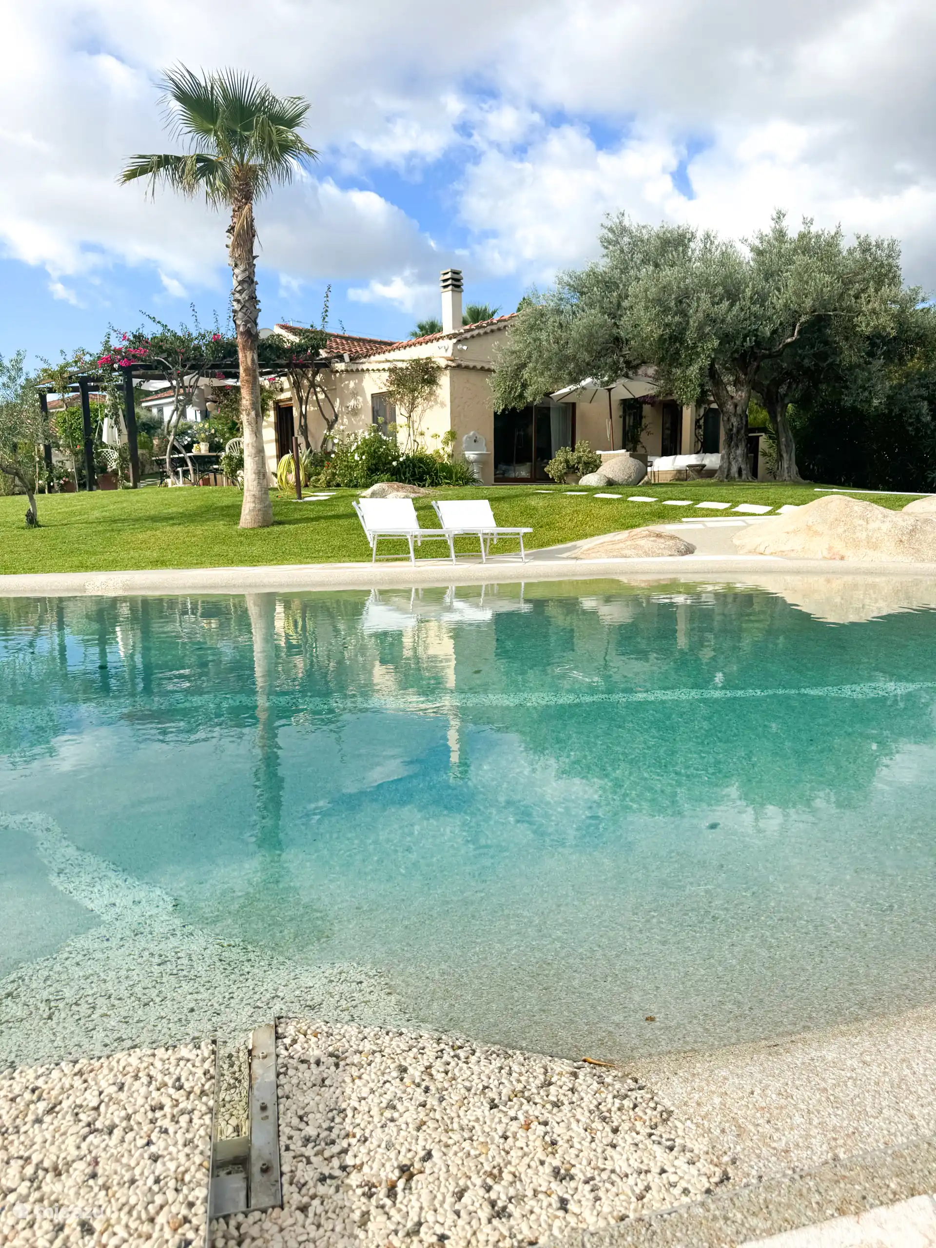 Uitzicht vanaf het zwembad richting de villa, met palmen, olijfbomen en ligbedden. Een rustige mediterrane sfeer, midden in het groen.