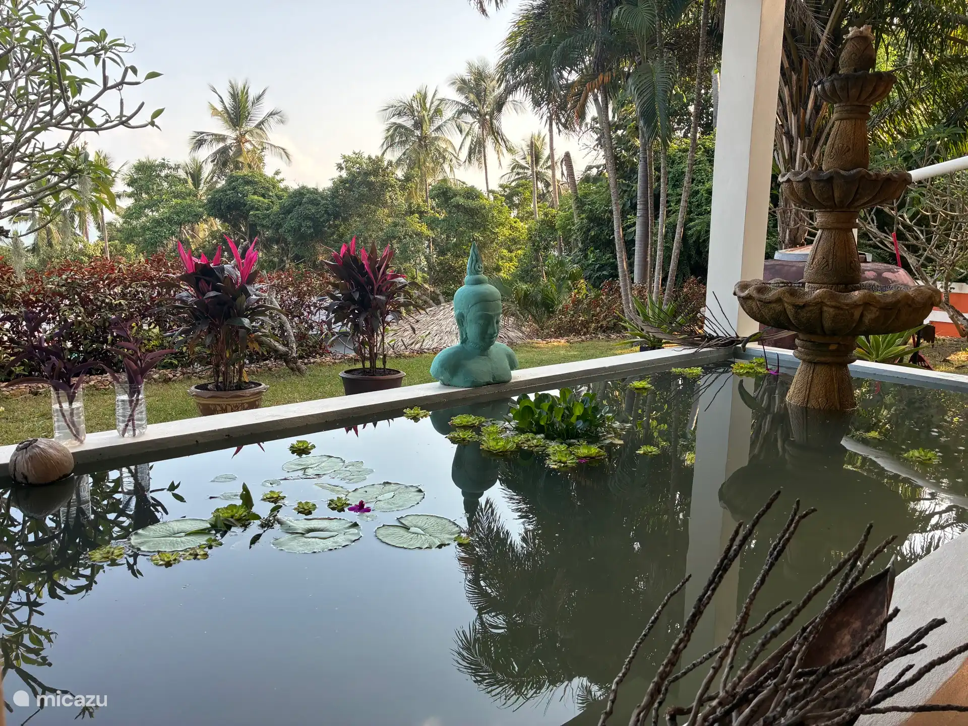 tuinkamer vijver onder het huis 