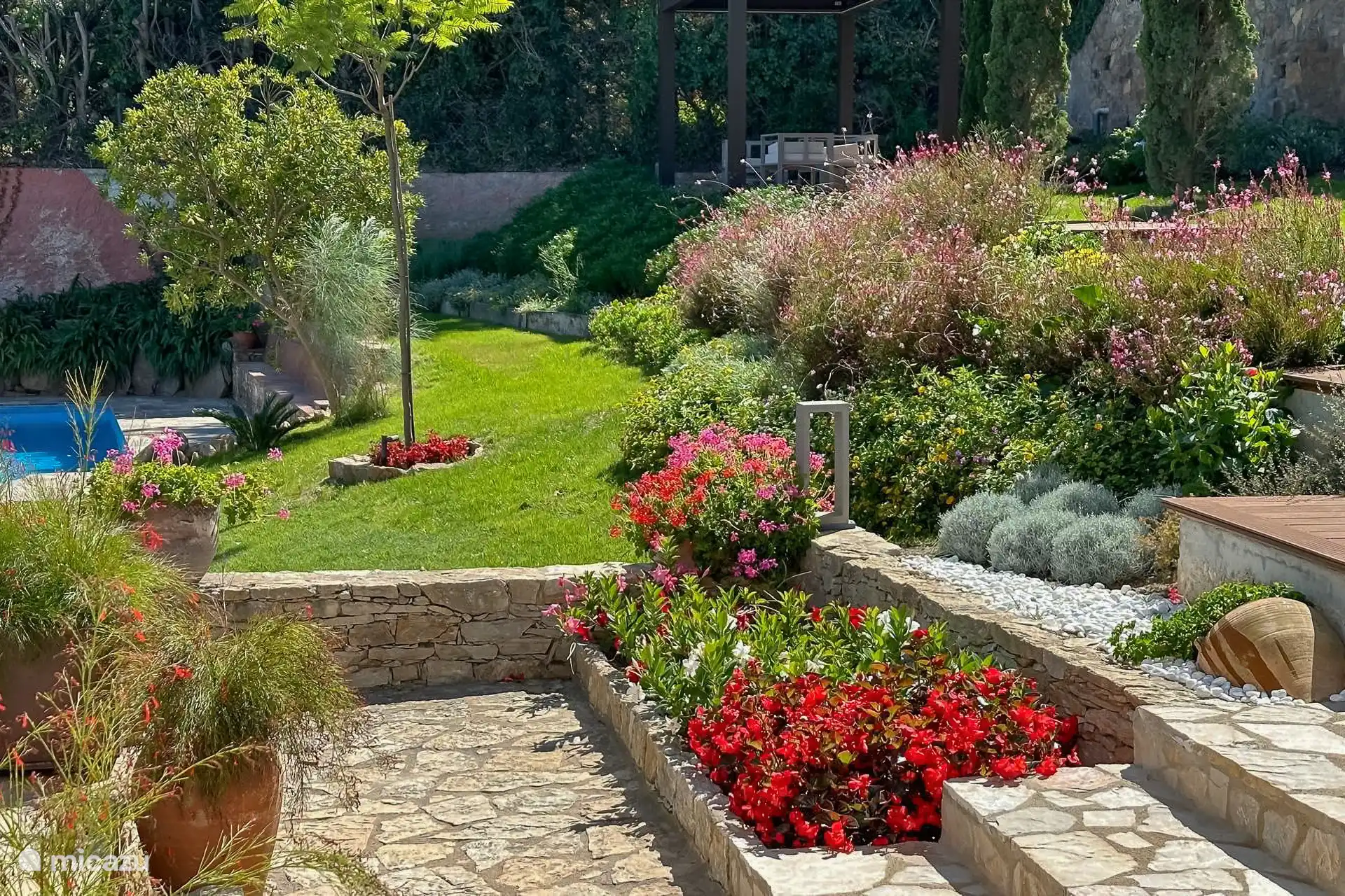 Tuin, zwembad en pergola