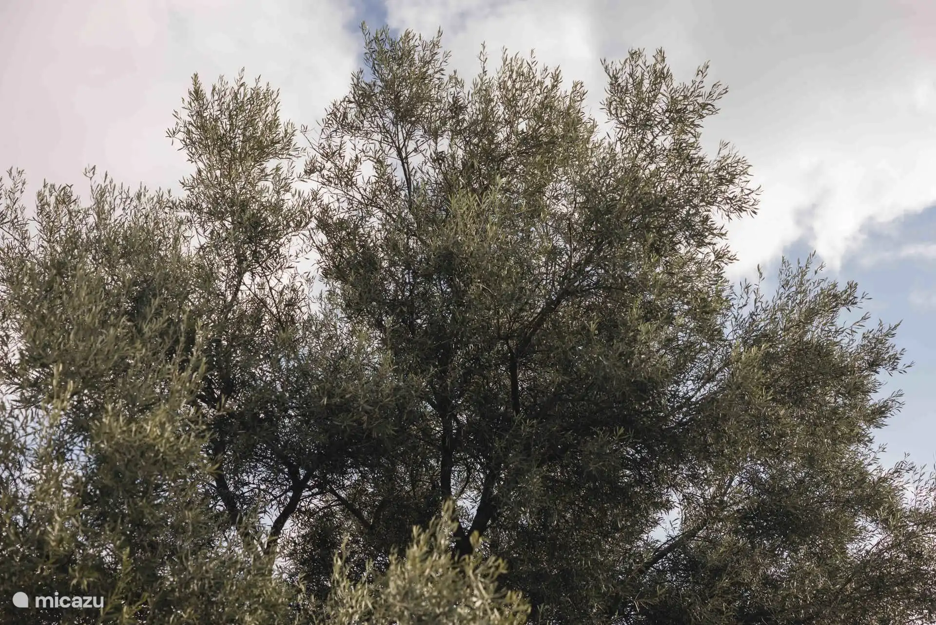 Natuurlijk landschap