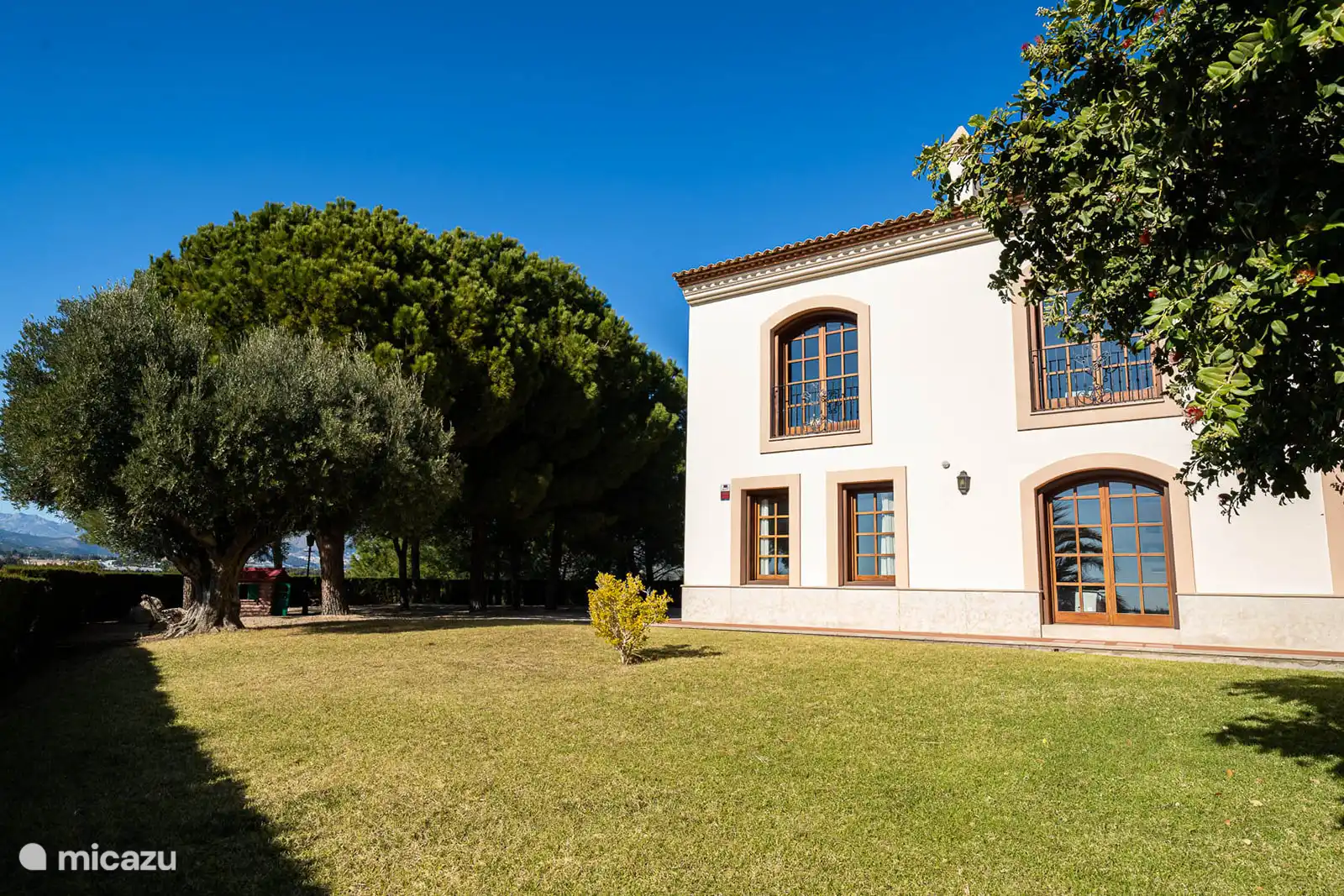 Grand jardin arboré.