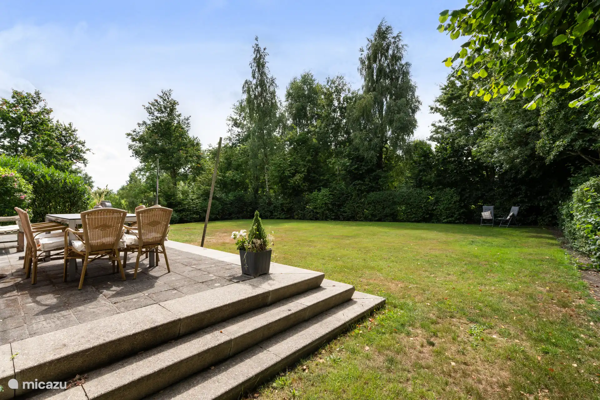 Terraza y patio trasero